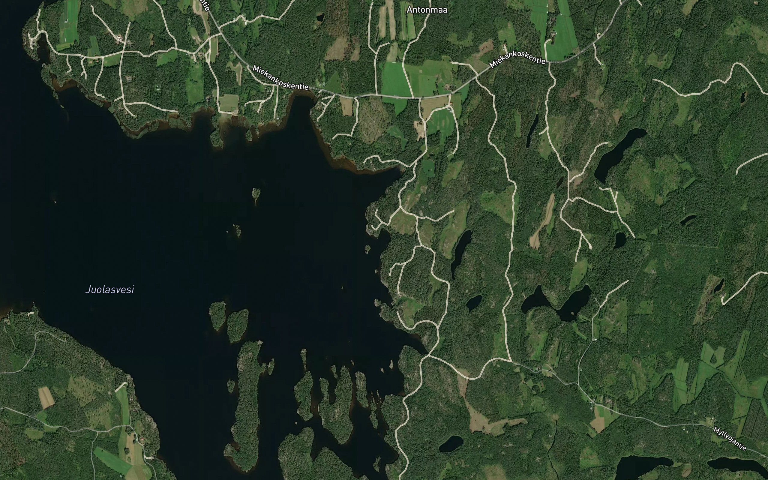 Tyrynlahti