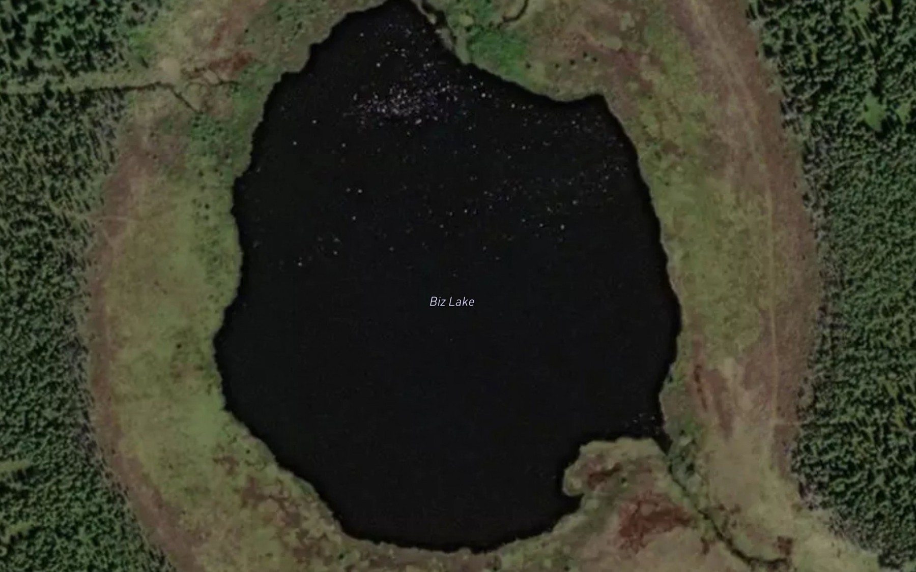 Satellite map of the Biz Lake