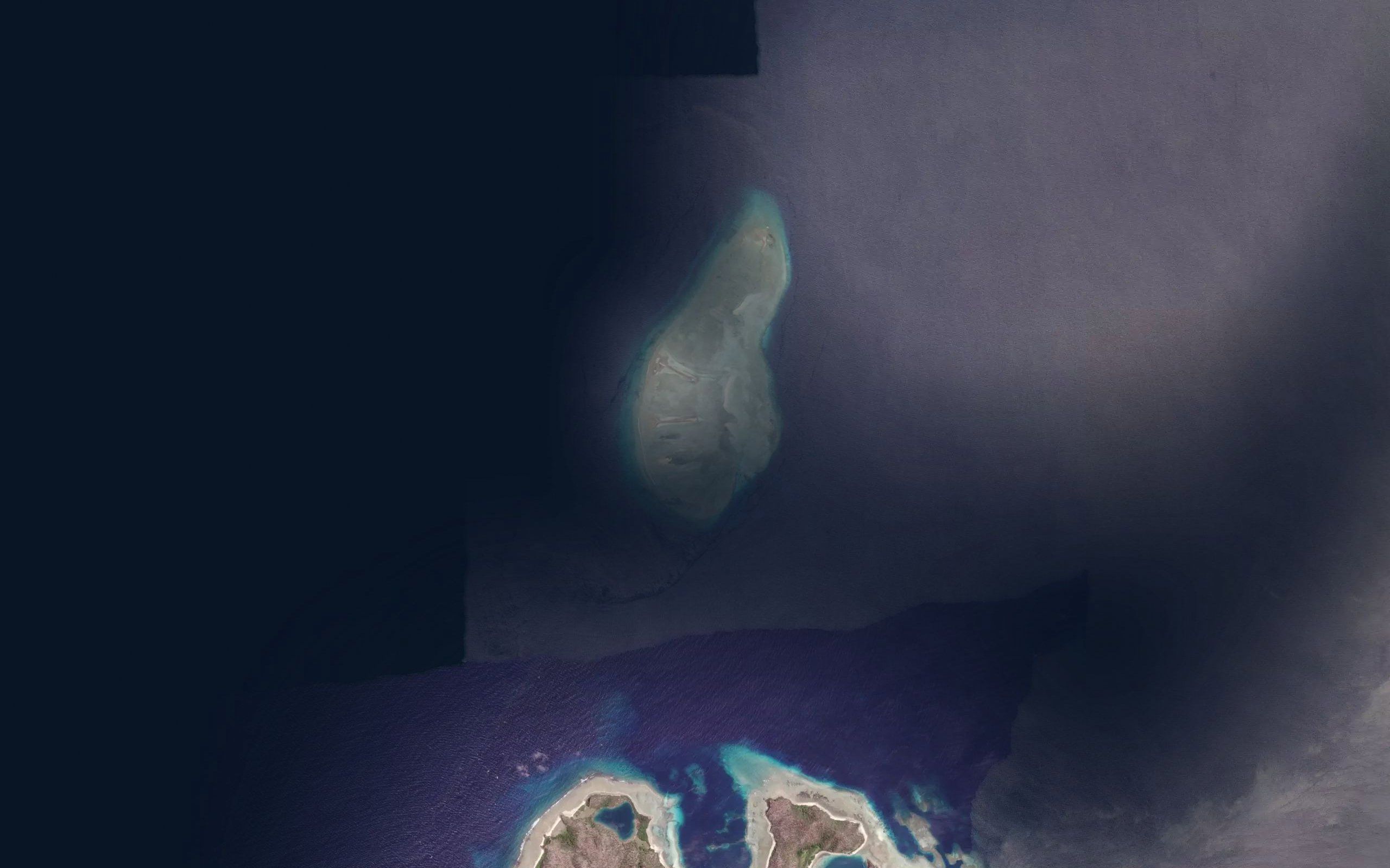 Karang Nautilus