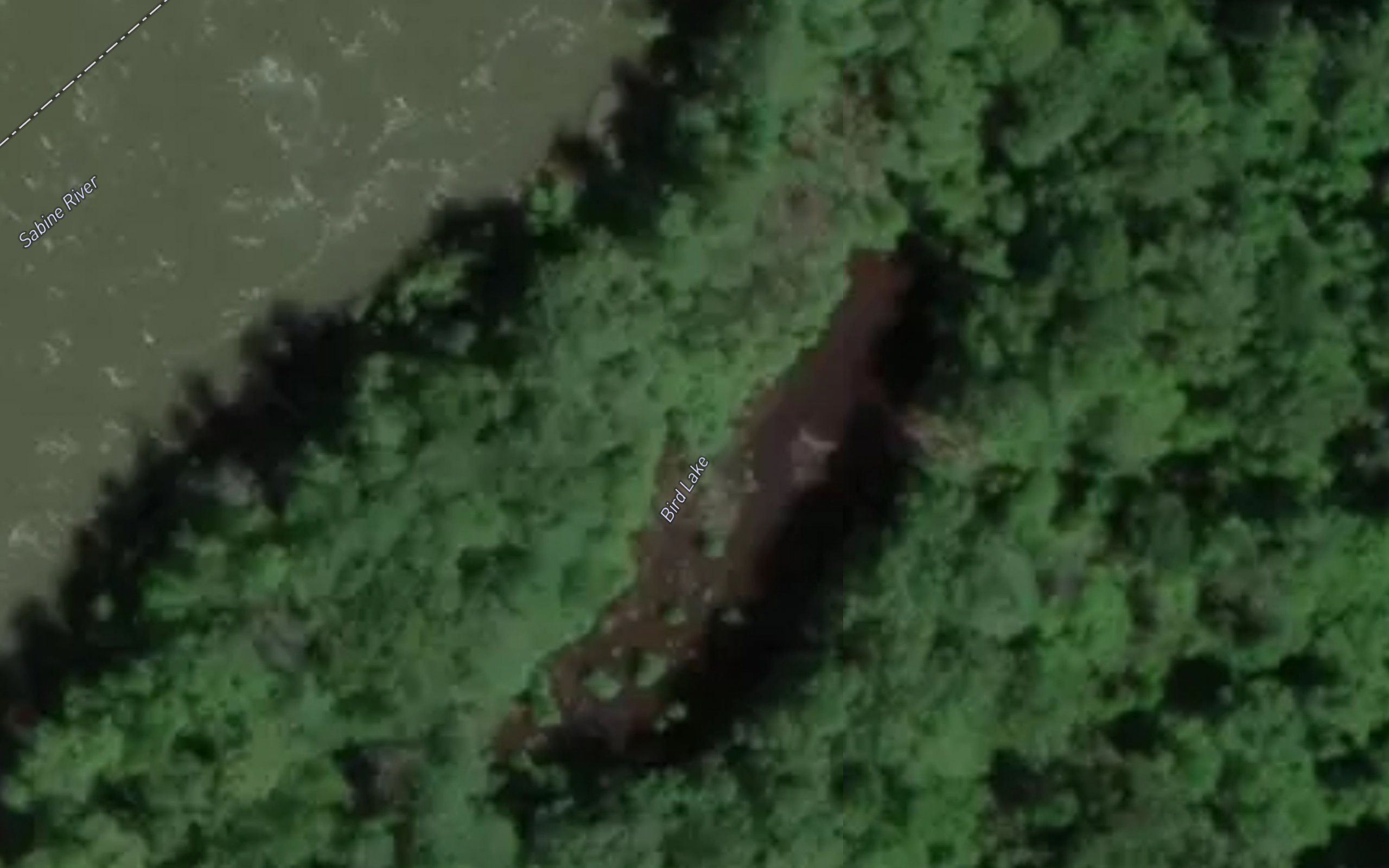 Bird Lake