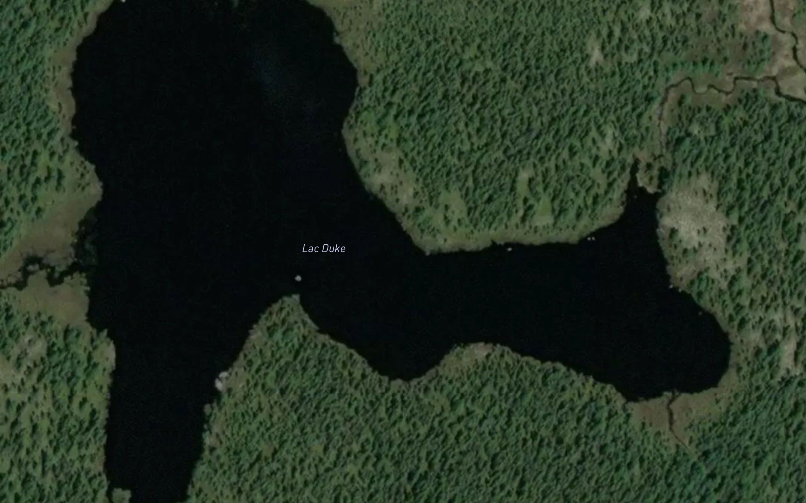 Lac Duke