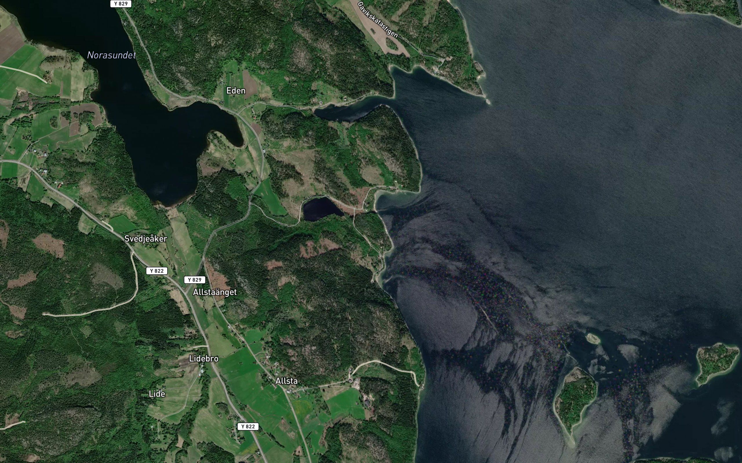 Gaviken