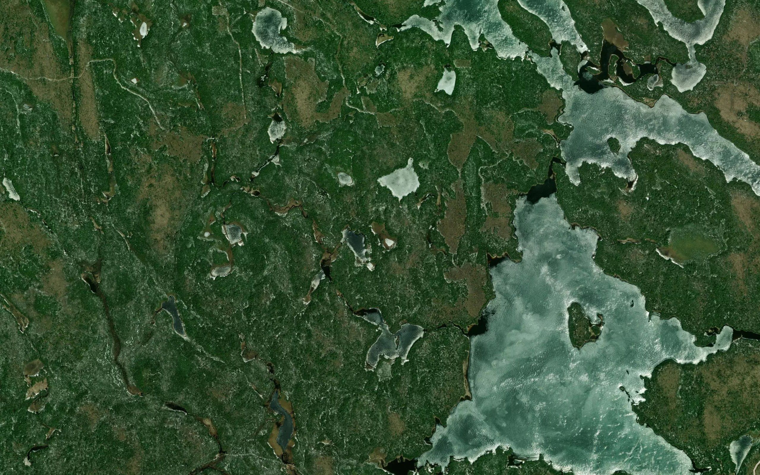 Lac Hoffmann