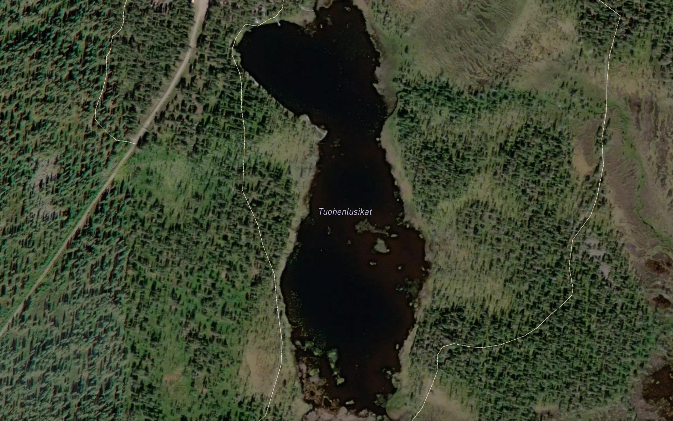 Tuohenlusikat