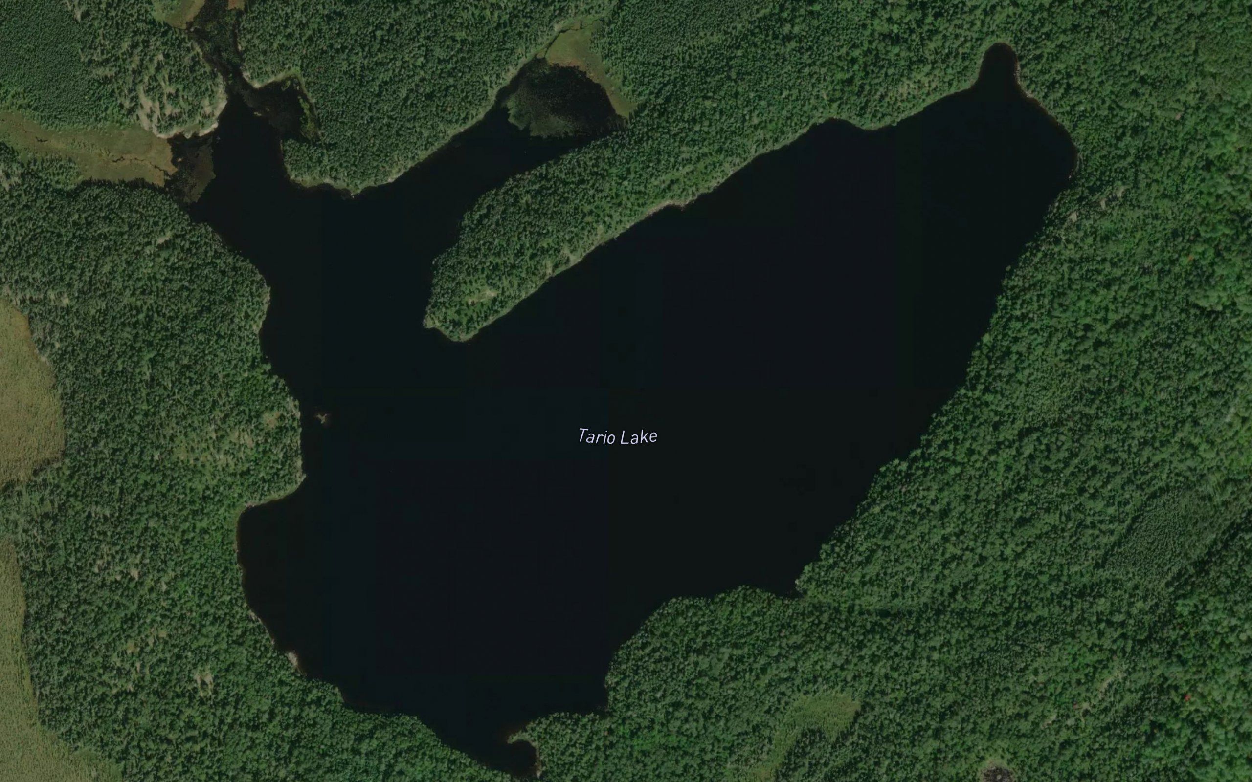 Tario Lake