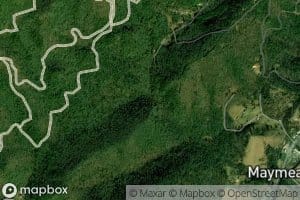 East Fork Laurel Branch