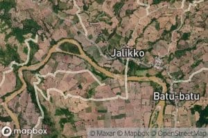 Salu Bolau