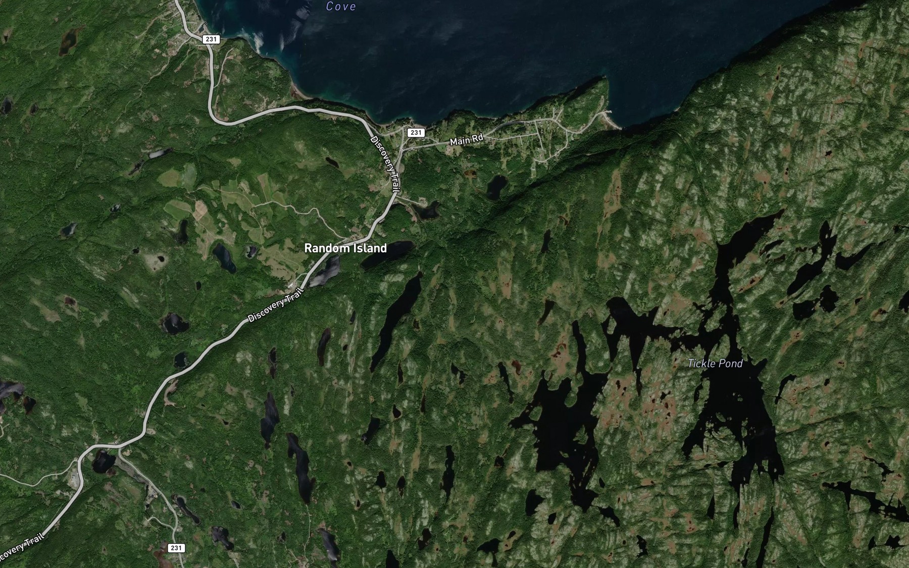 Satellite map of the Little Long Pond