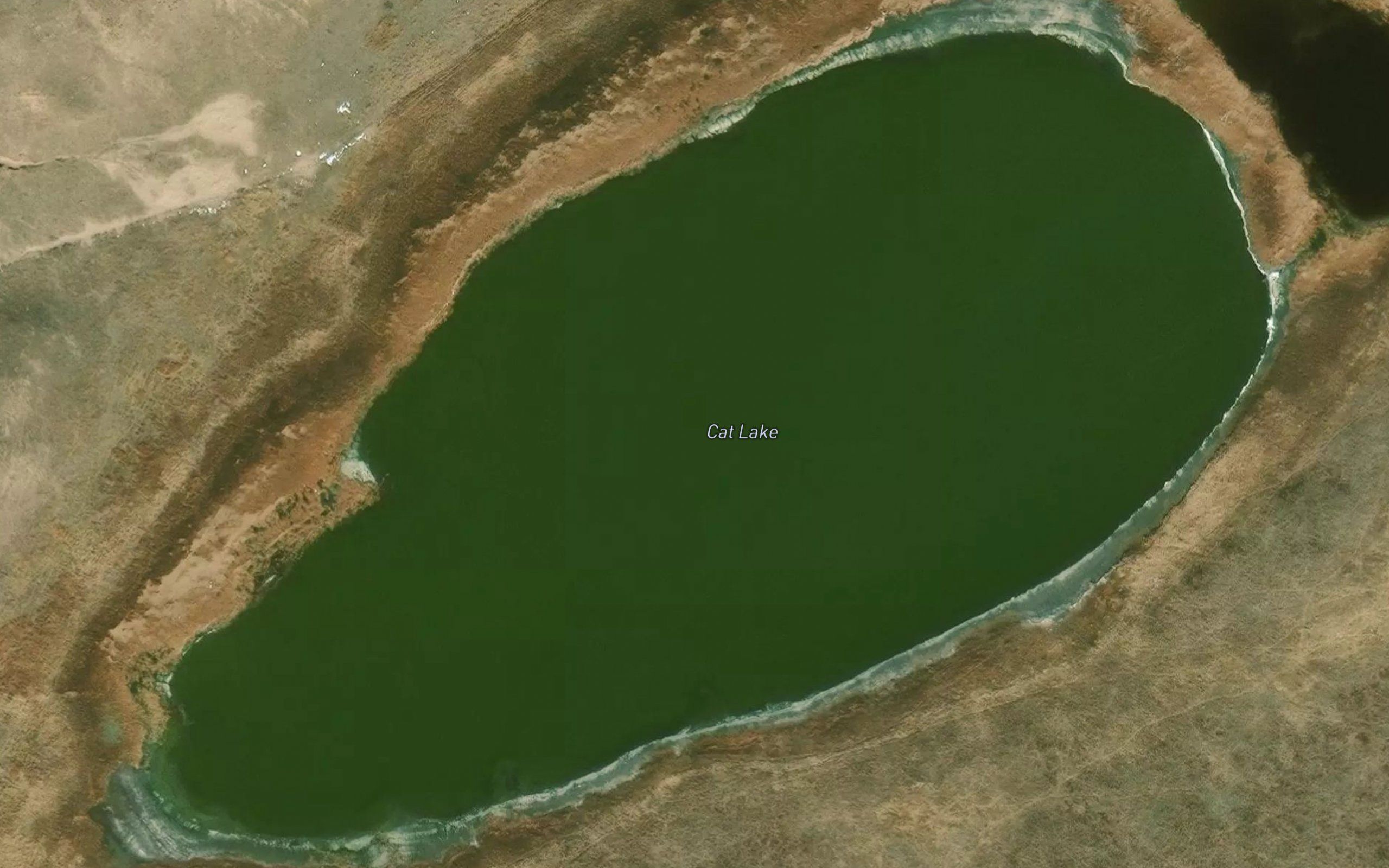 Cat Lake