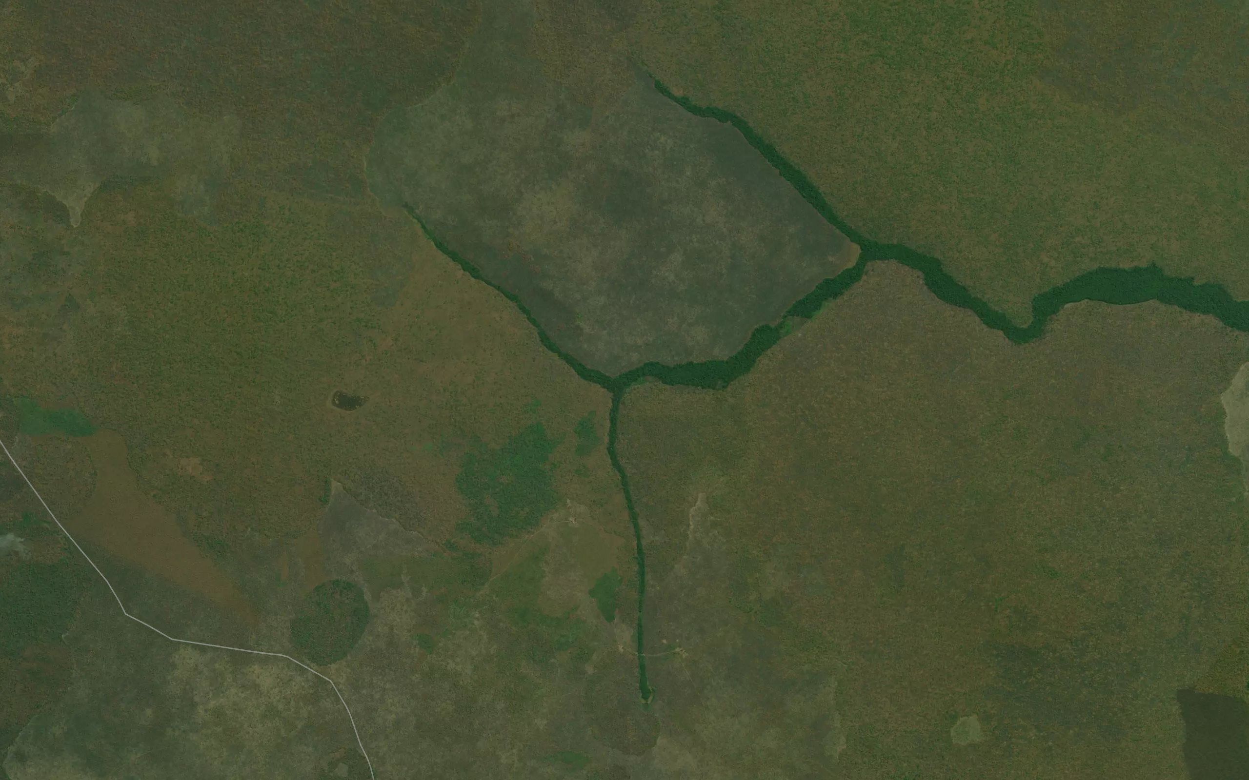 Kamisangi