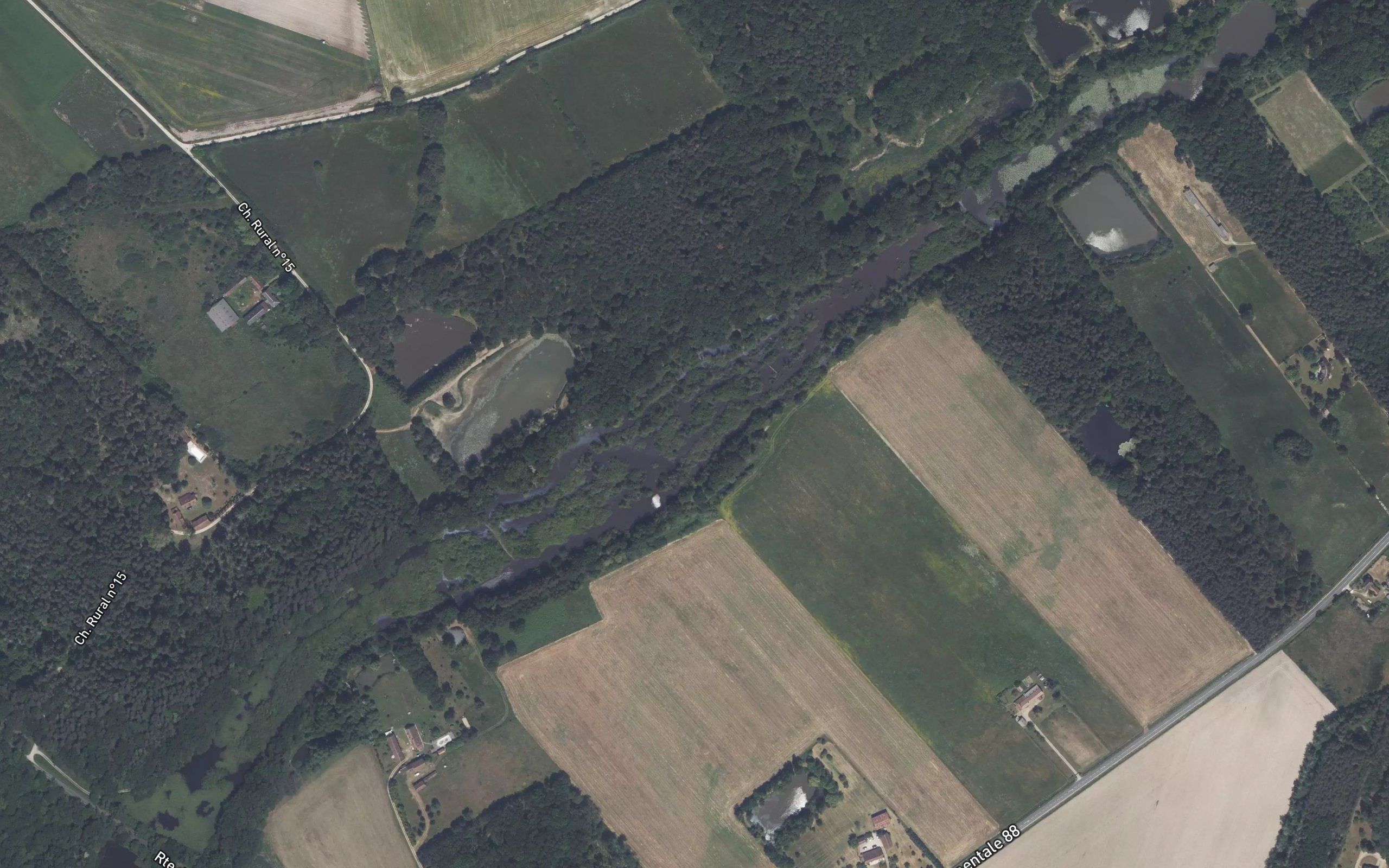 Etang des Planches