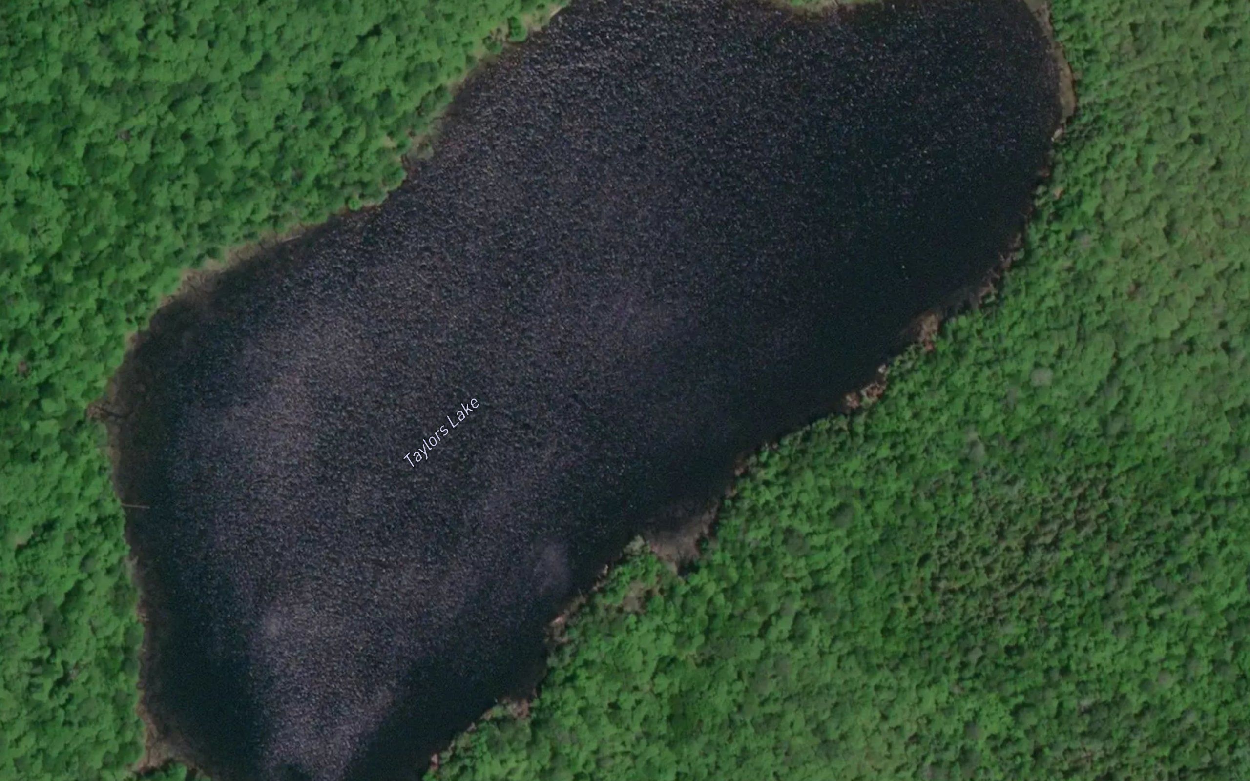 Taylors Lake