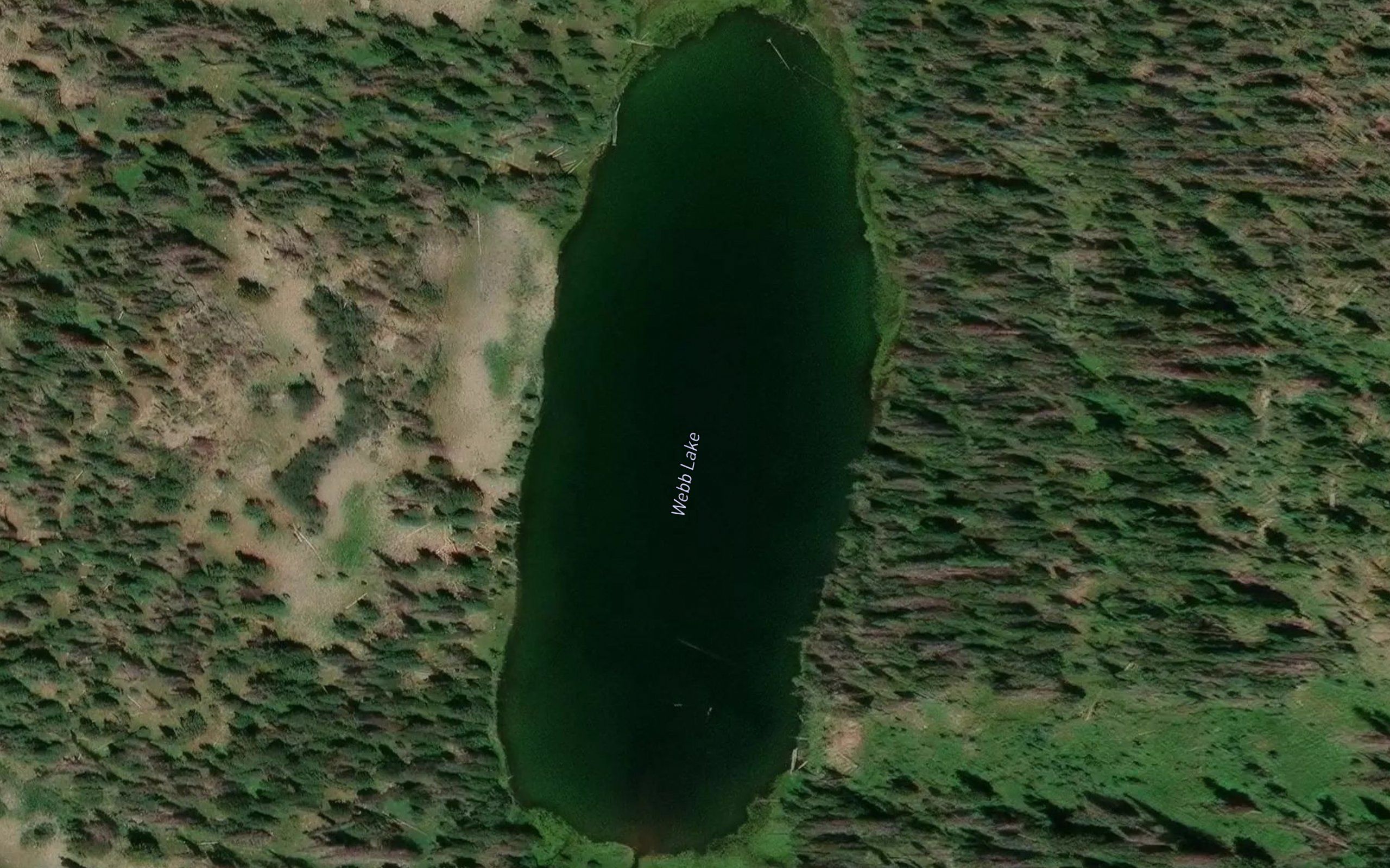 Webb Lake