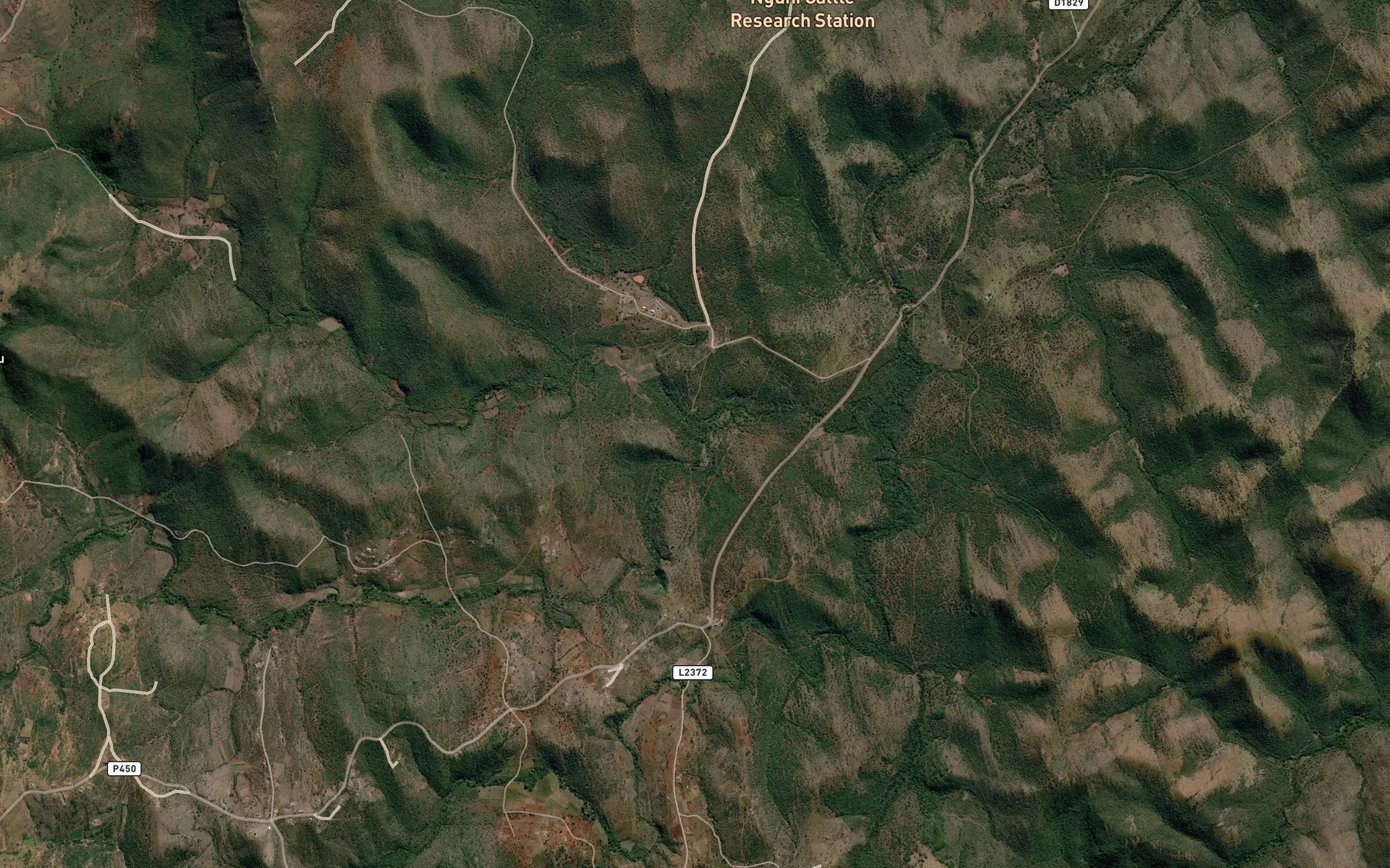 Satellite map of the Takani