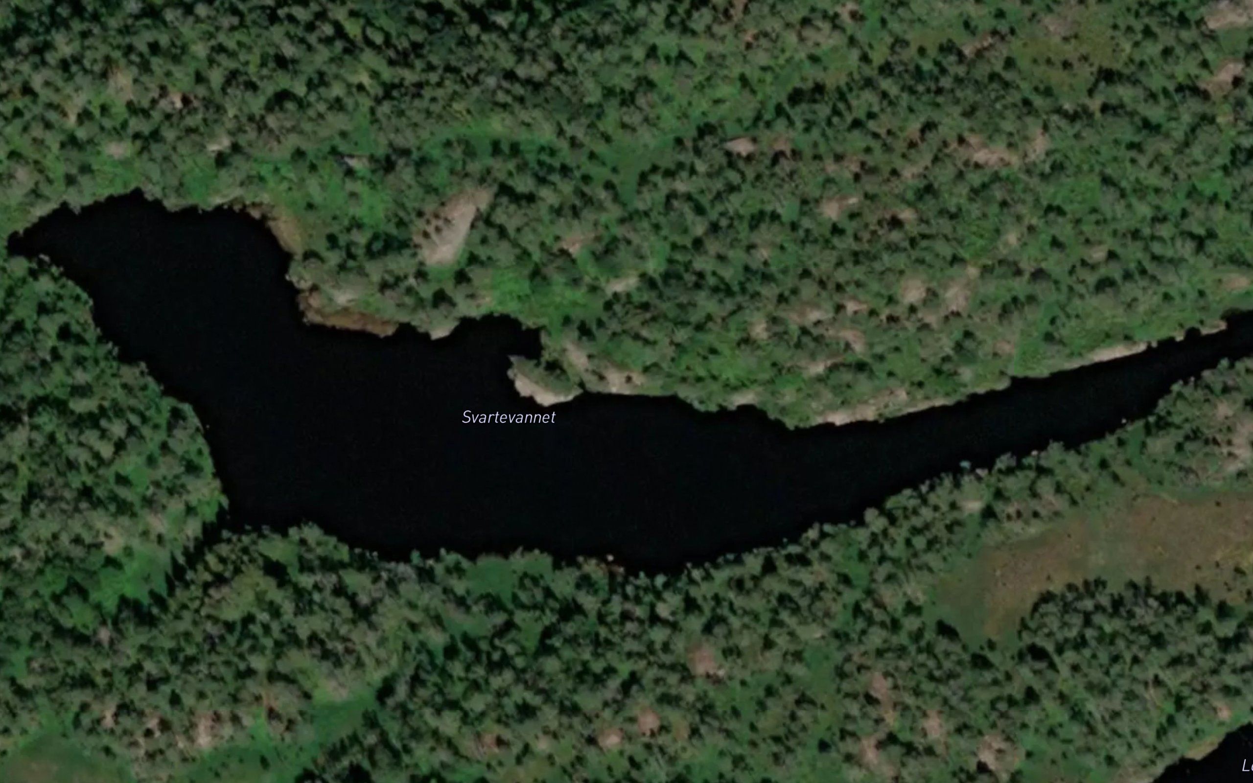 Svartevannet