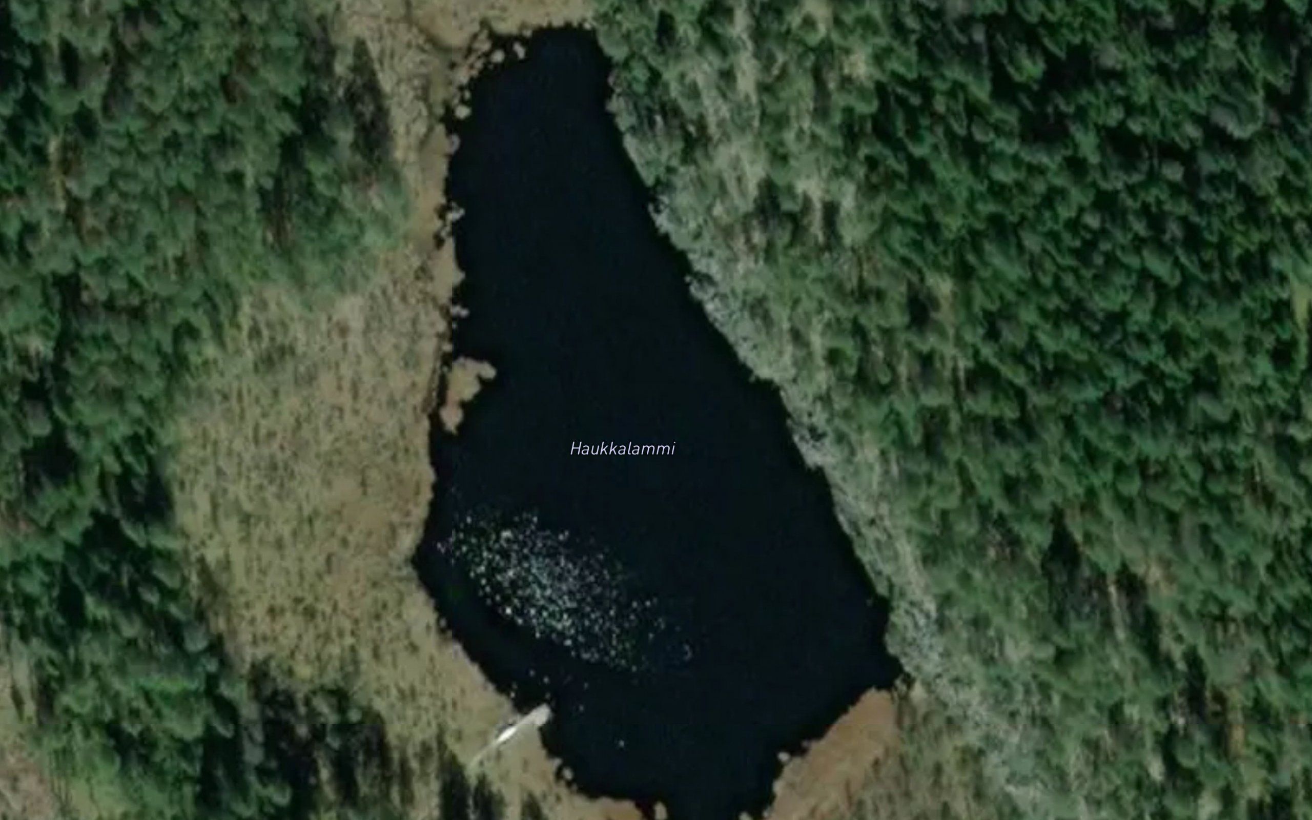 Haukkalammi