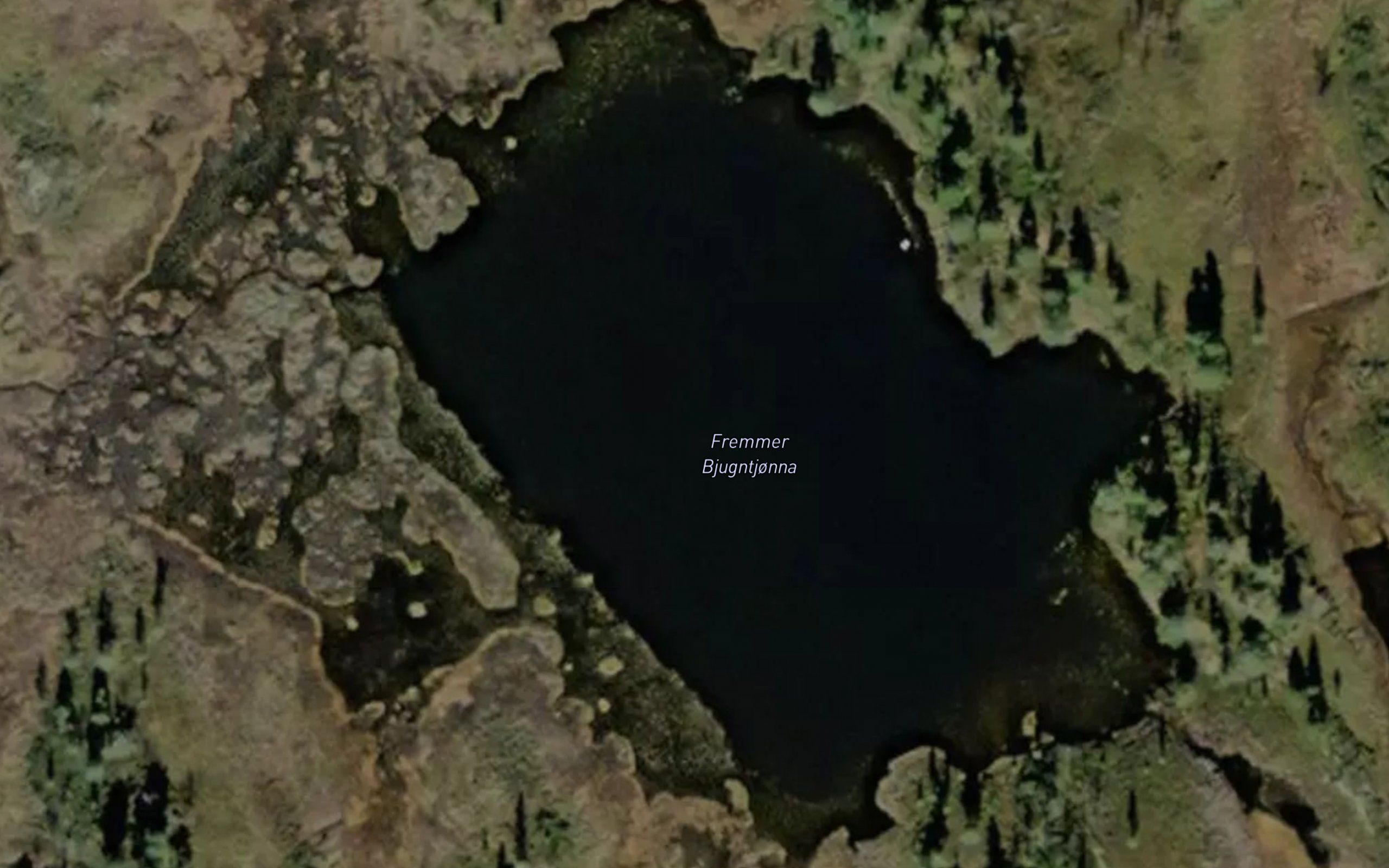 Fremmer Bjugntjonna
