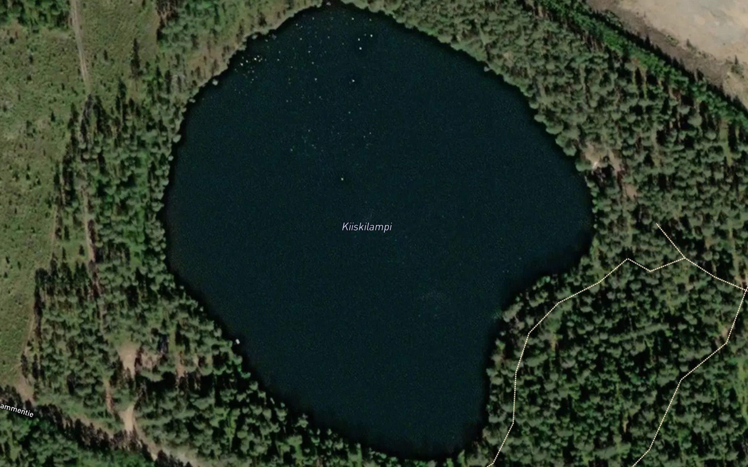 Kiiskilampi