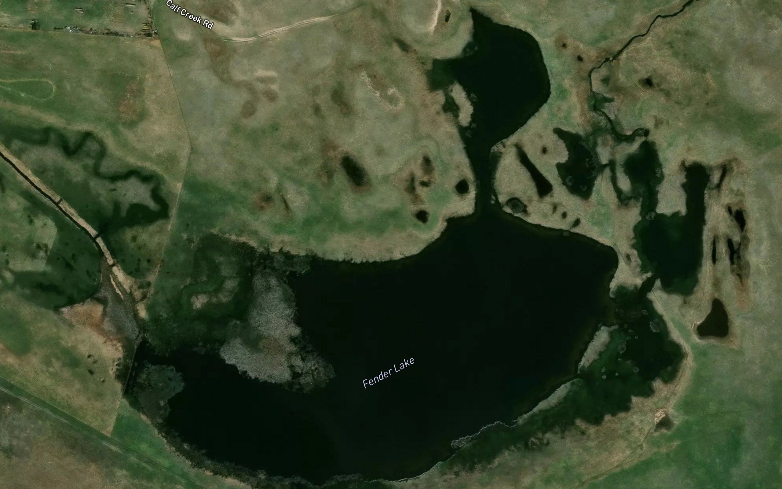 Fender Lake