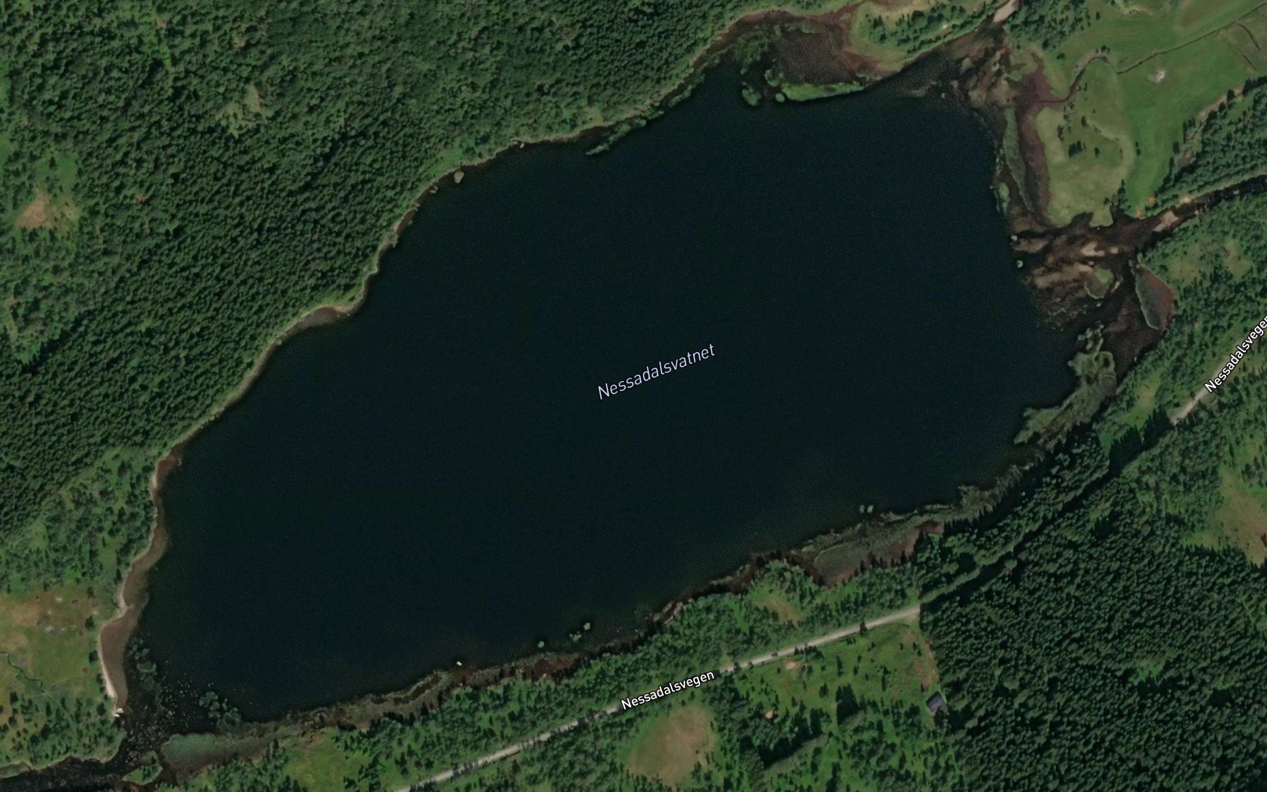 Dalavatnet