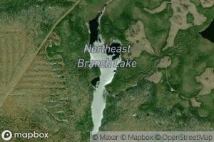 Northeast Branch Lake