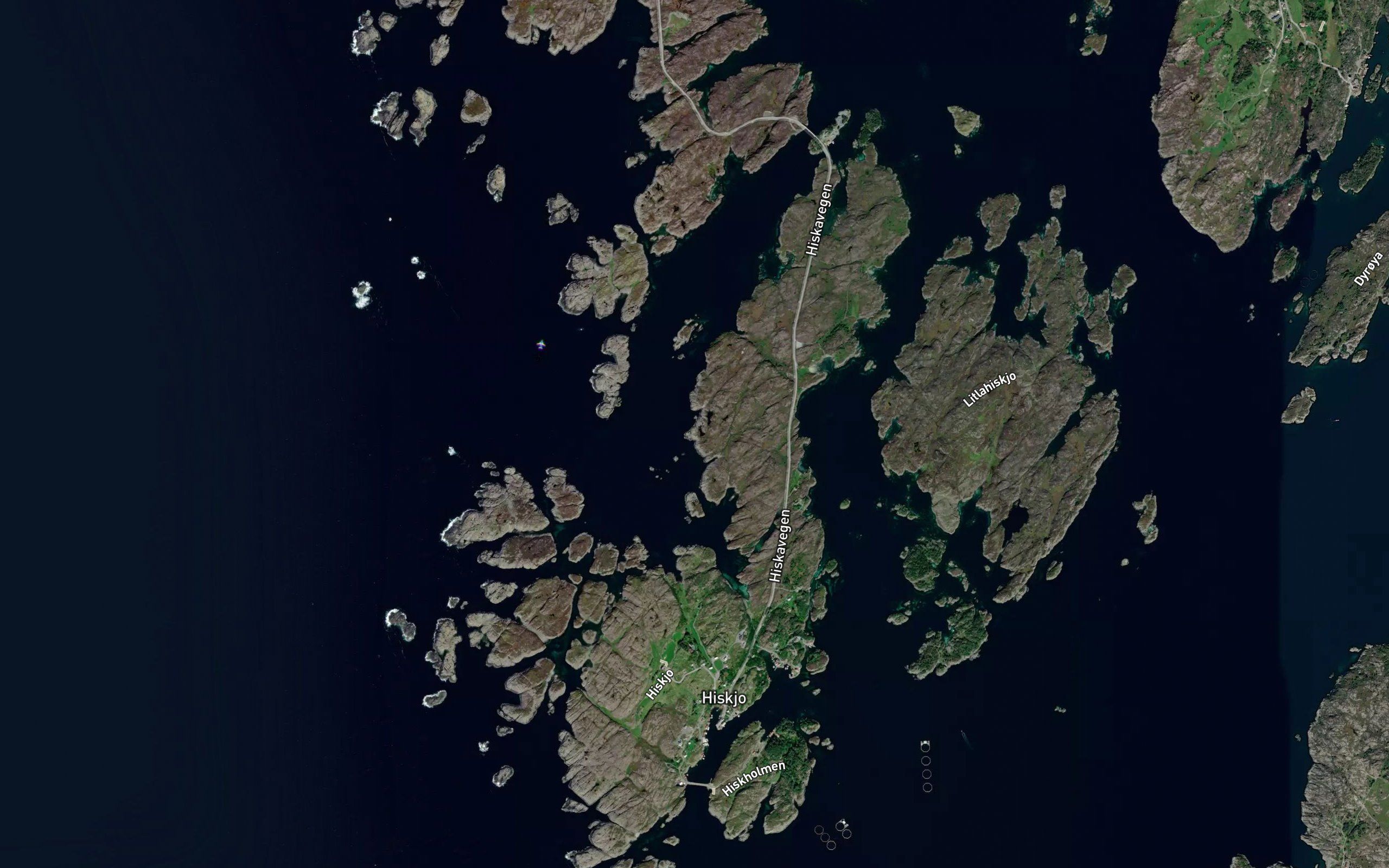 Skotavikeneset