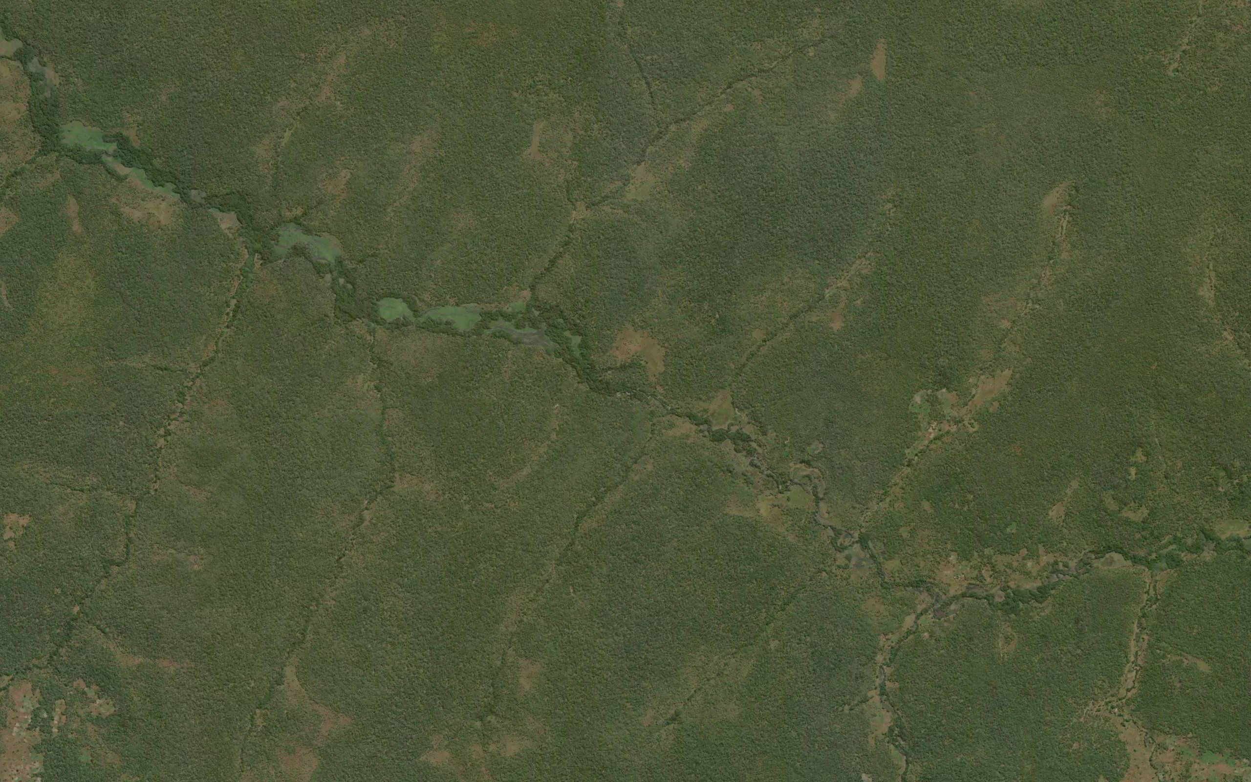 Kasakeji