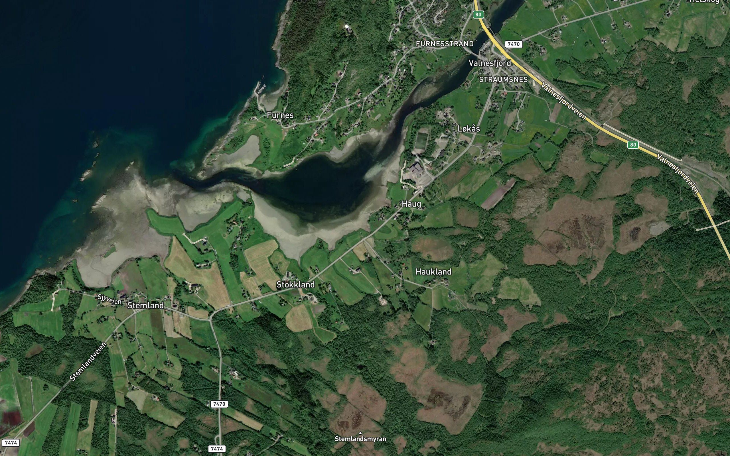 Haugosen