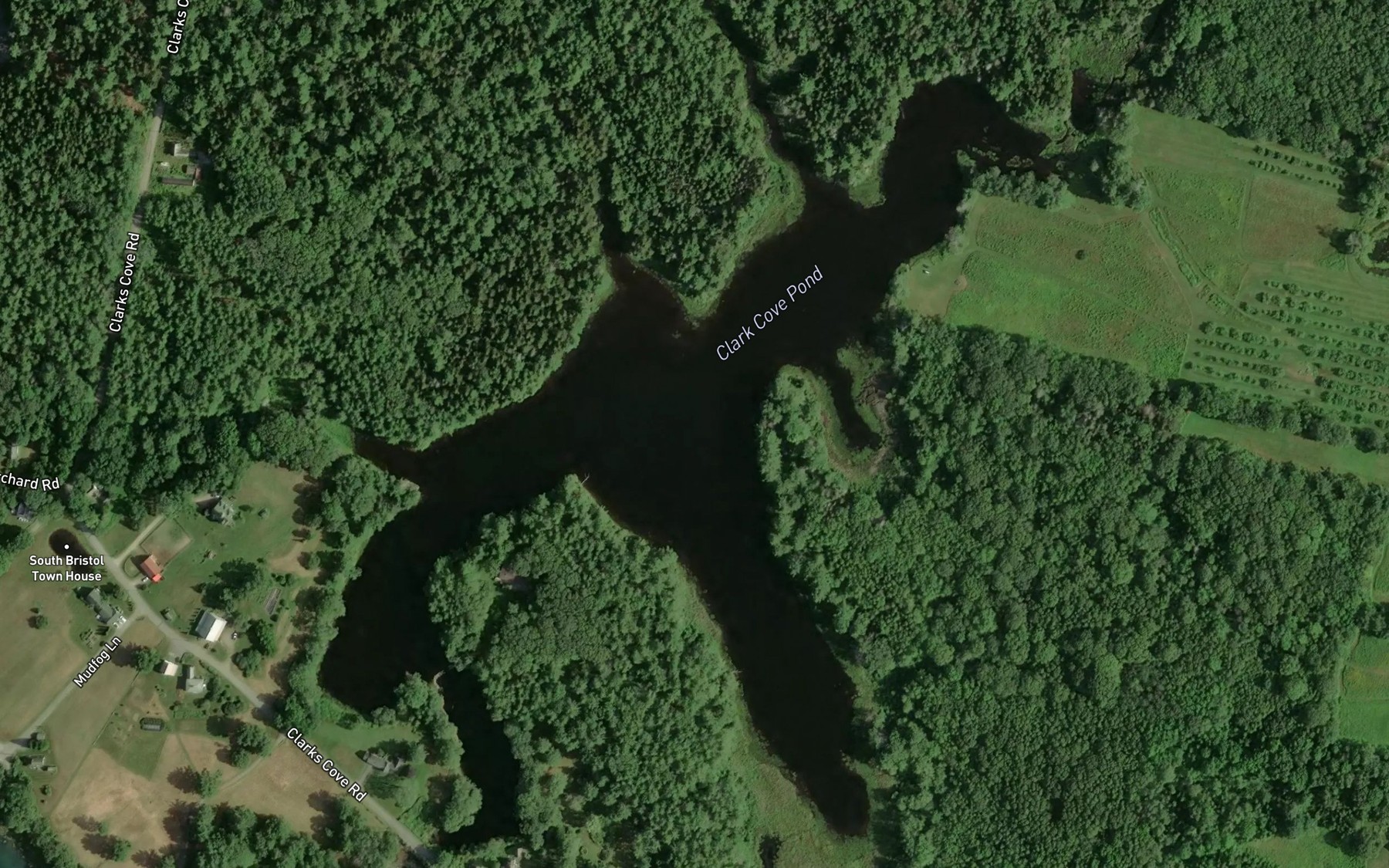 Satellite map of the Clark Cove Pond