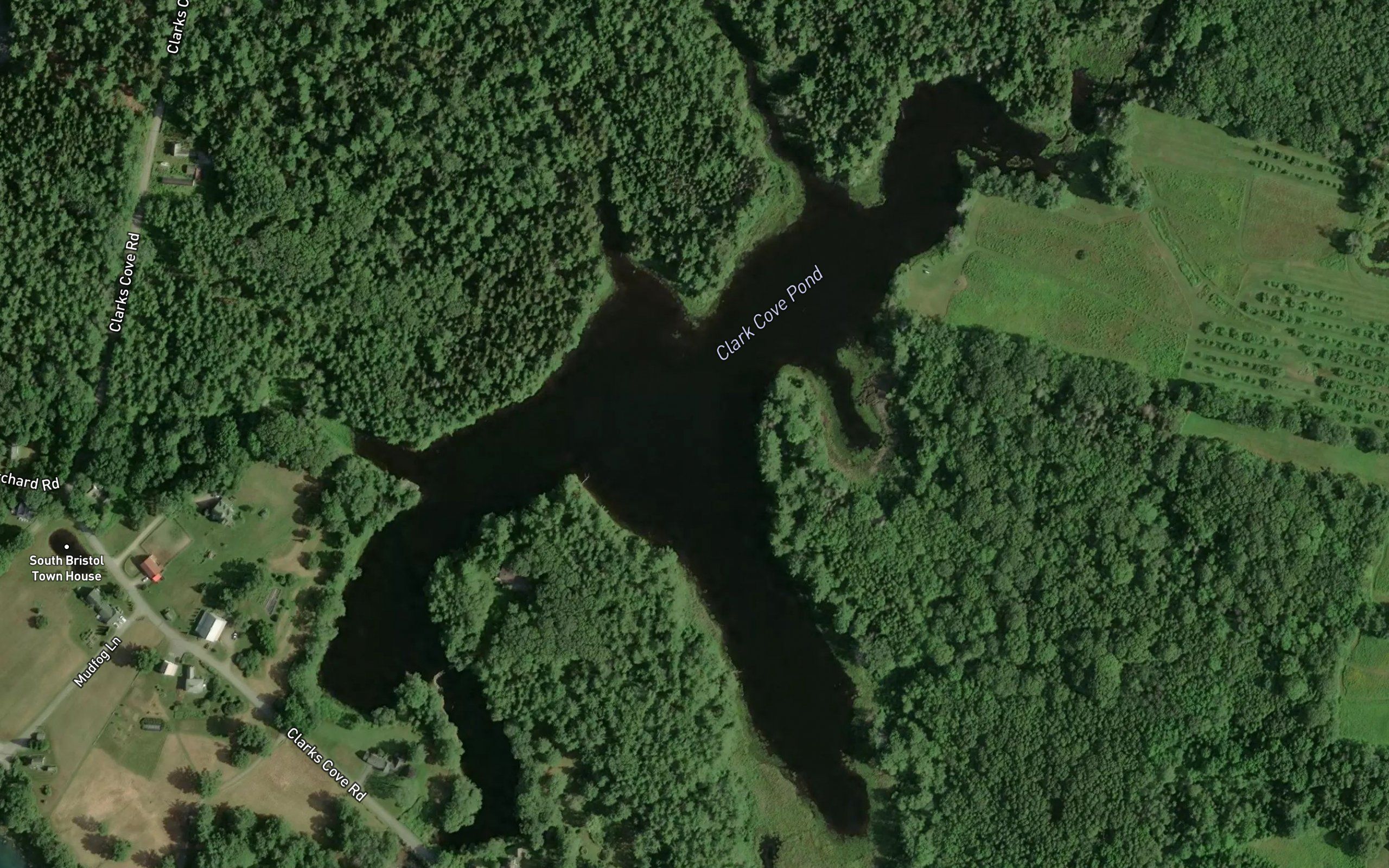 Clark Cove Pond