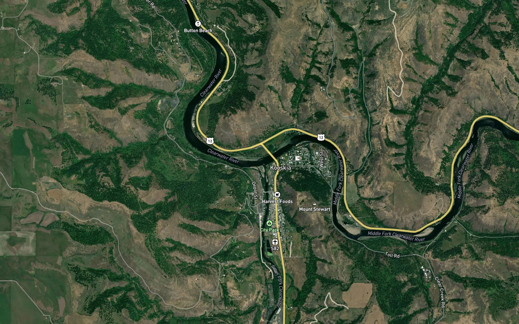 Satellite map of the South Fork Clearwater River