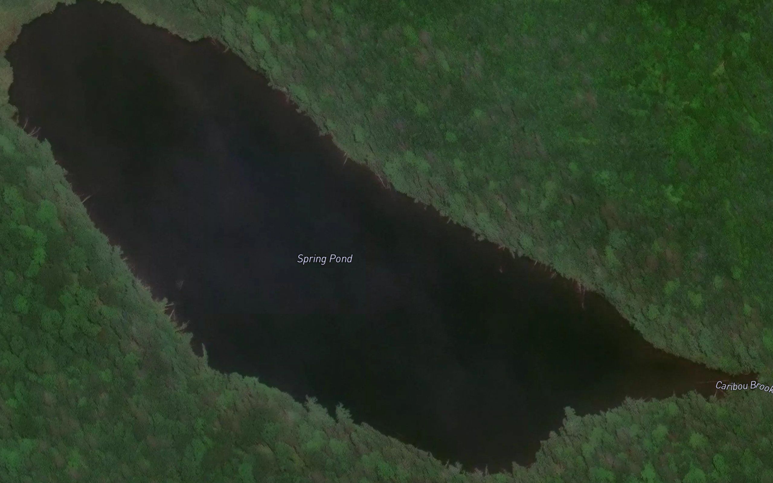 Spring Pond