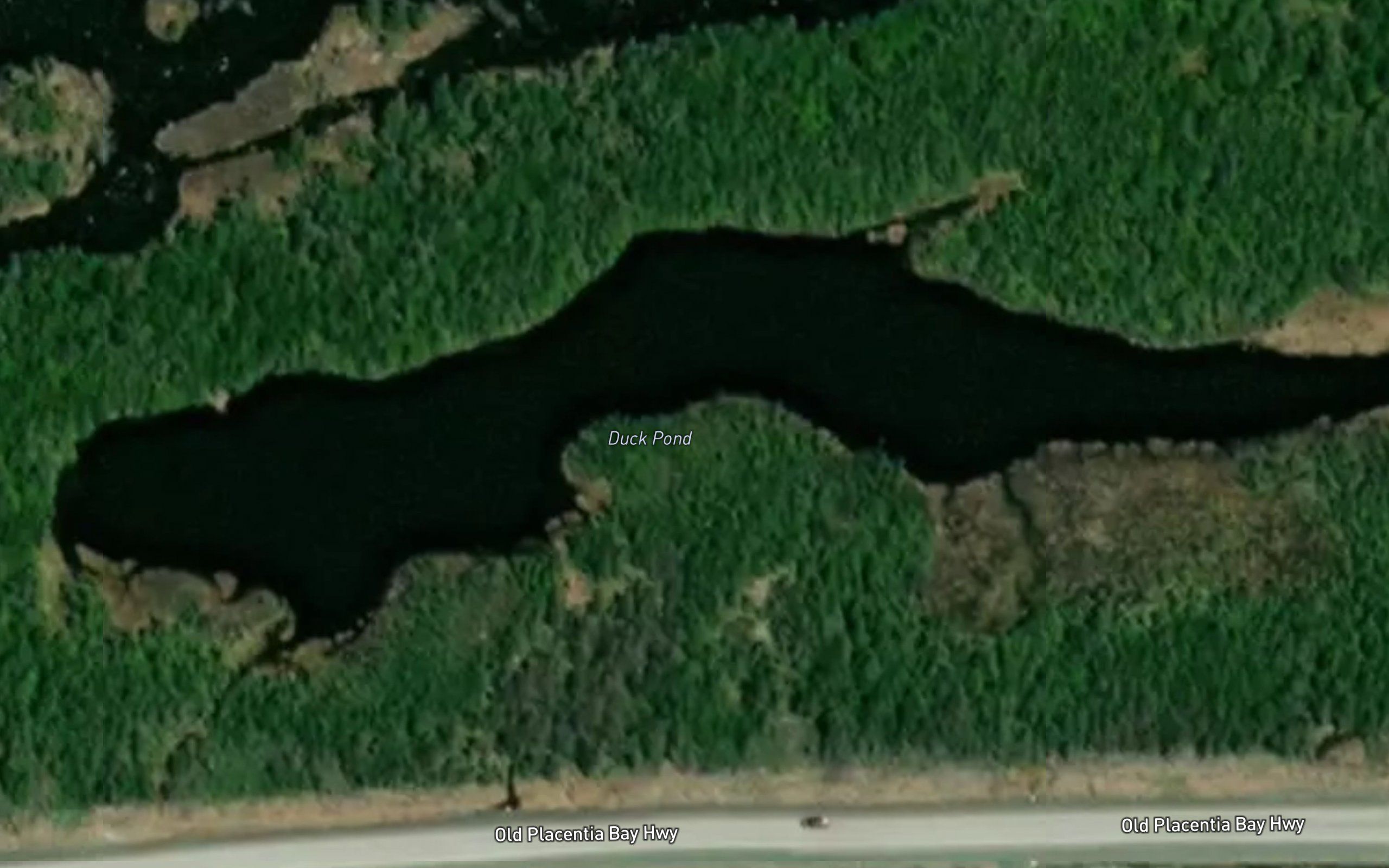 Duck Pond