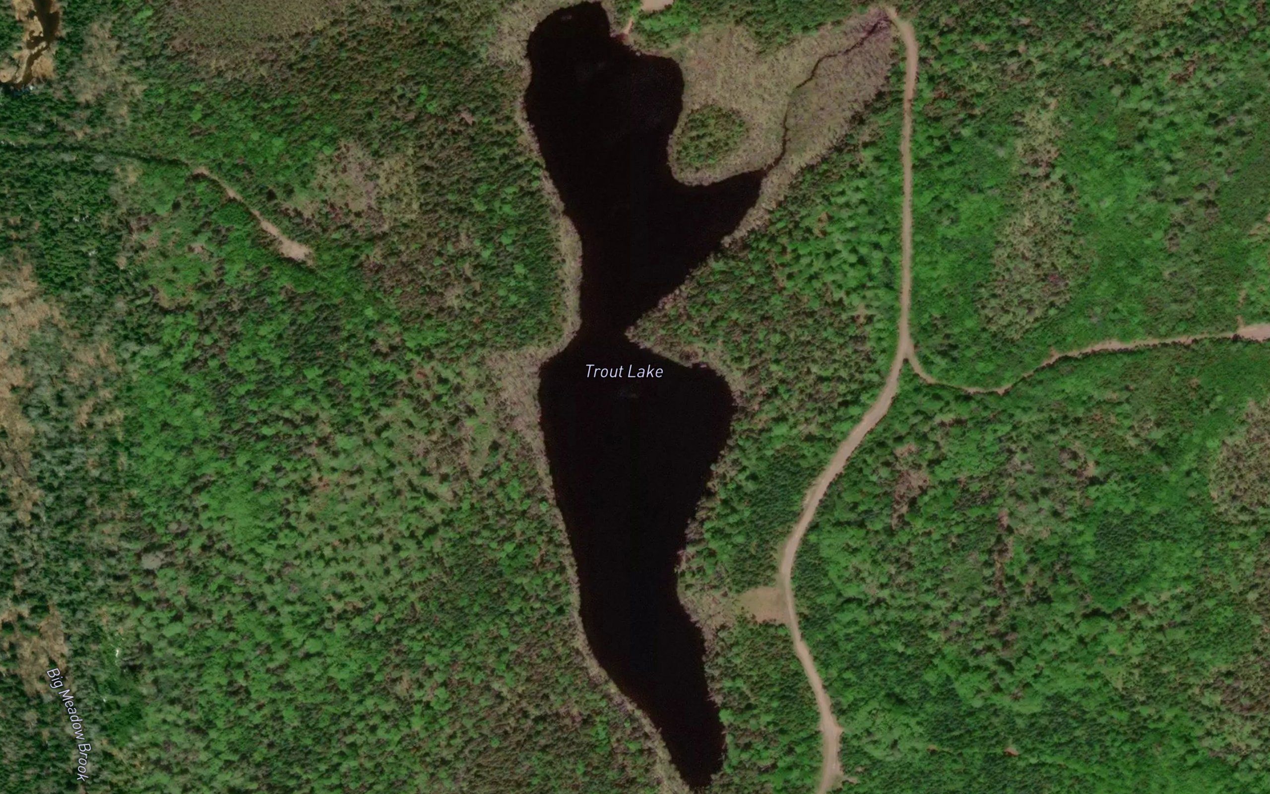 Trout Lake