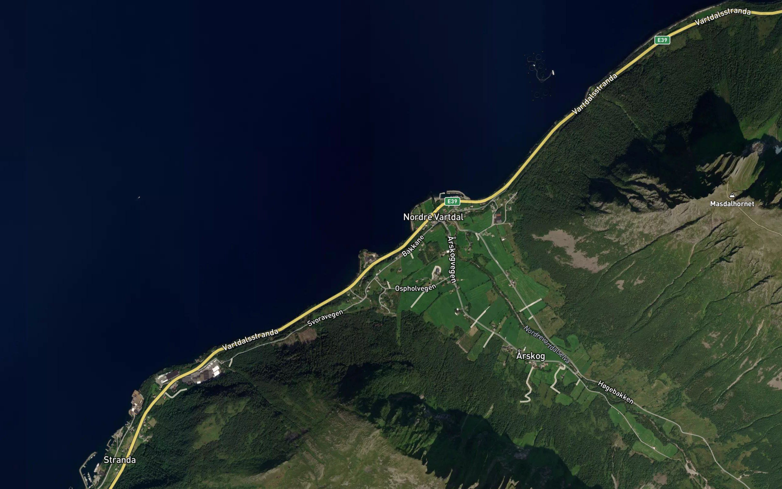 Arskogvika