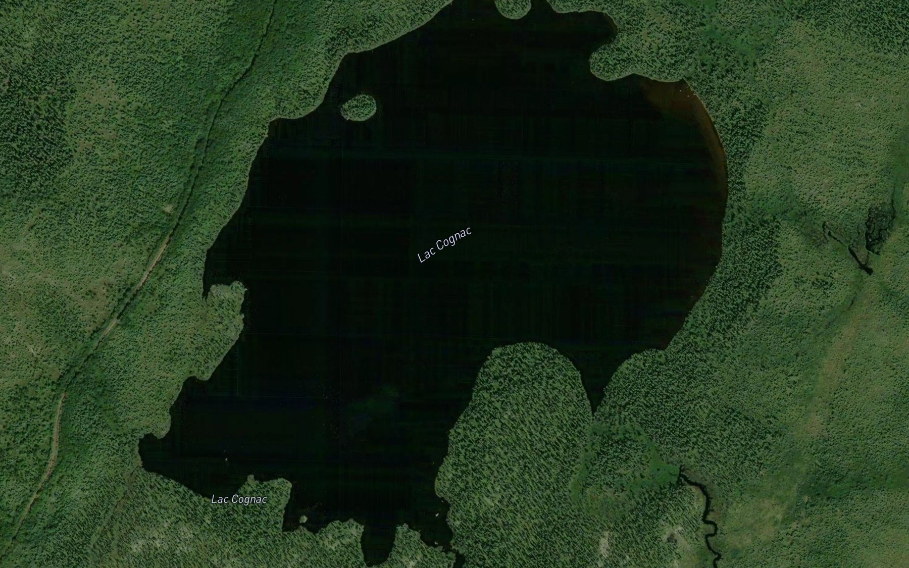 Satellite map of the Lac Cognac