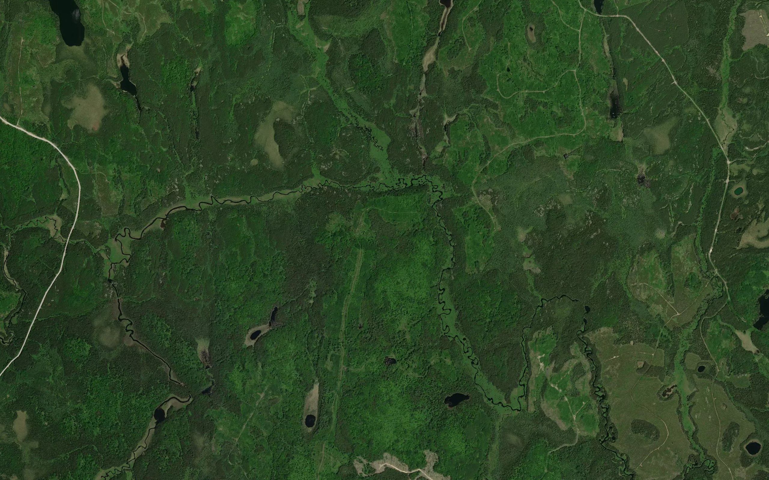 Viola Creek