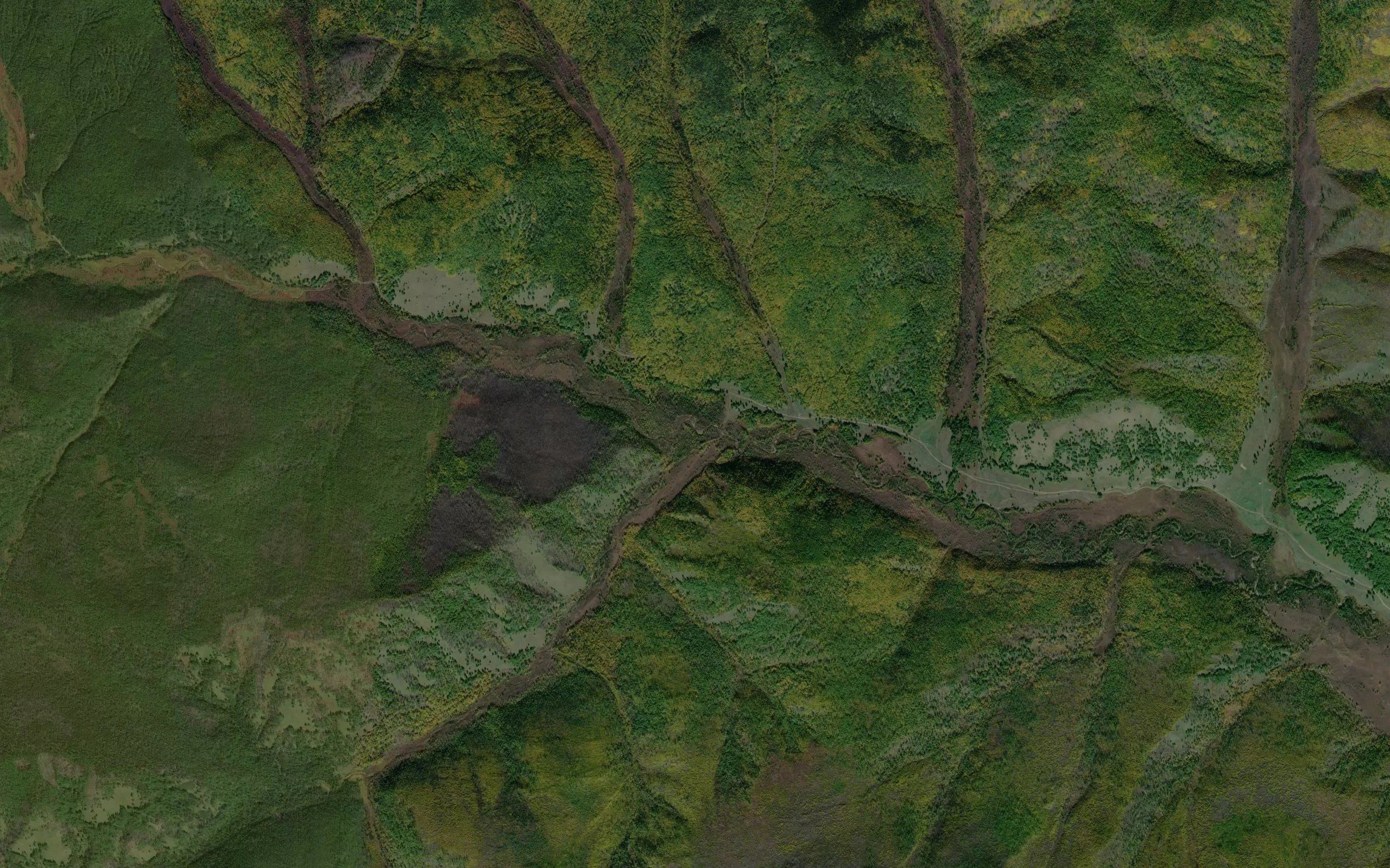 Barta