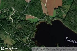 Lamminoja