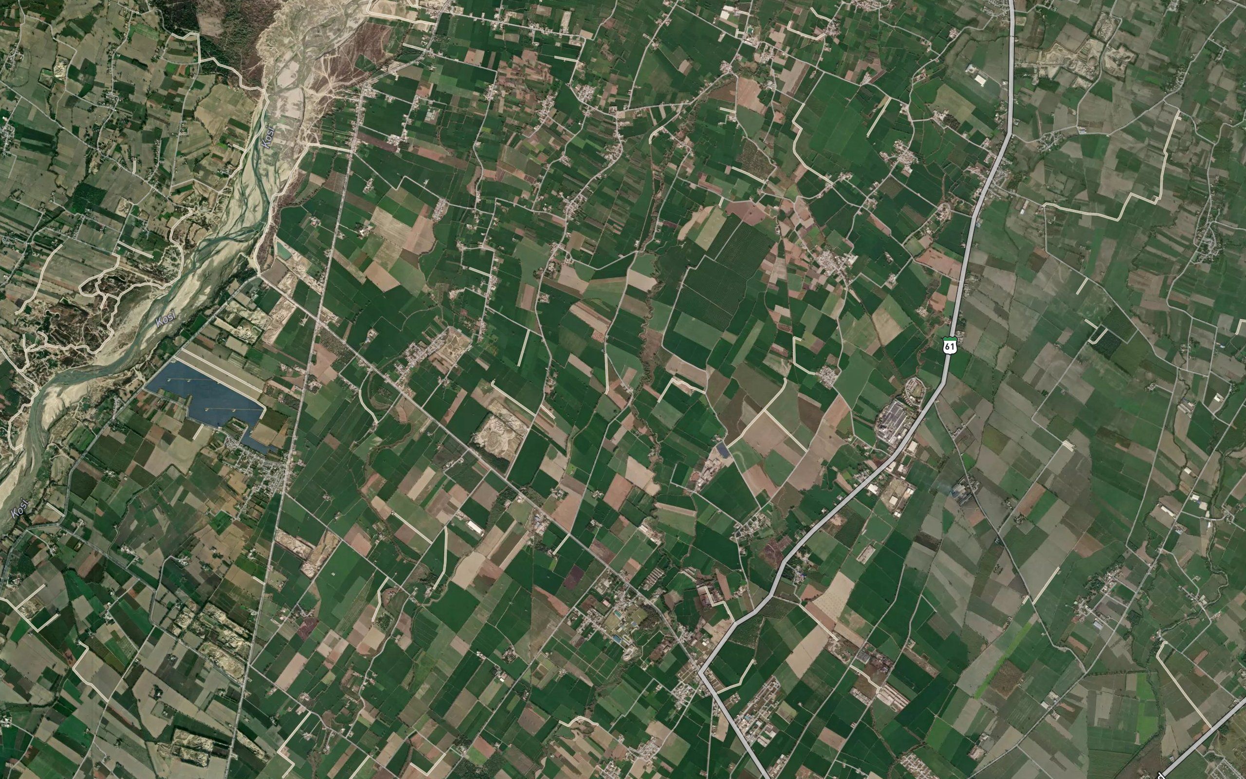 Khushhalpur Gul