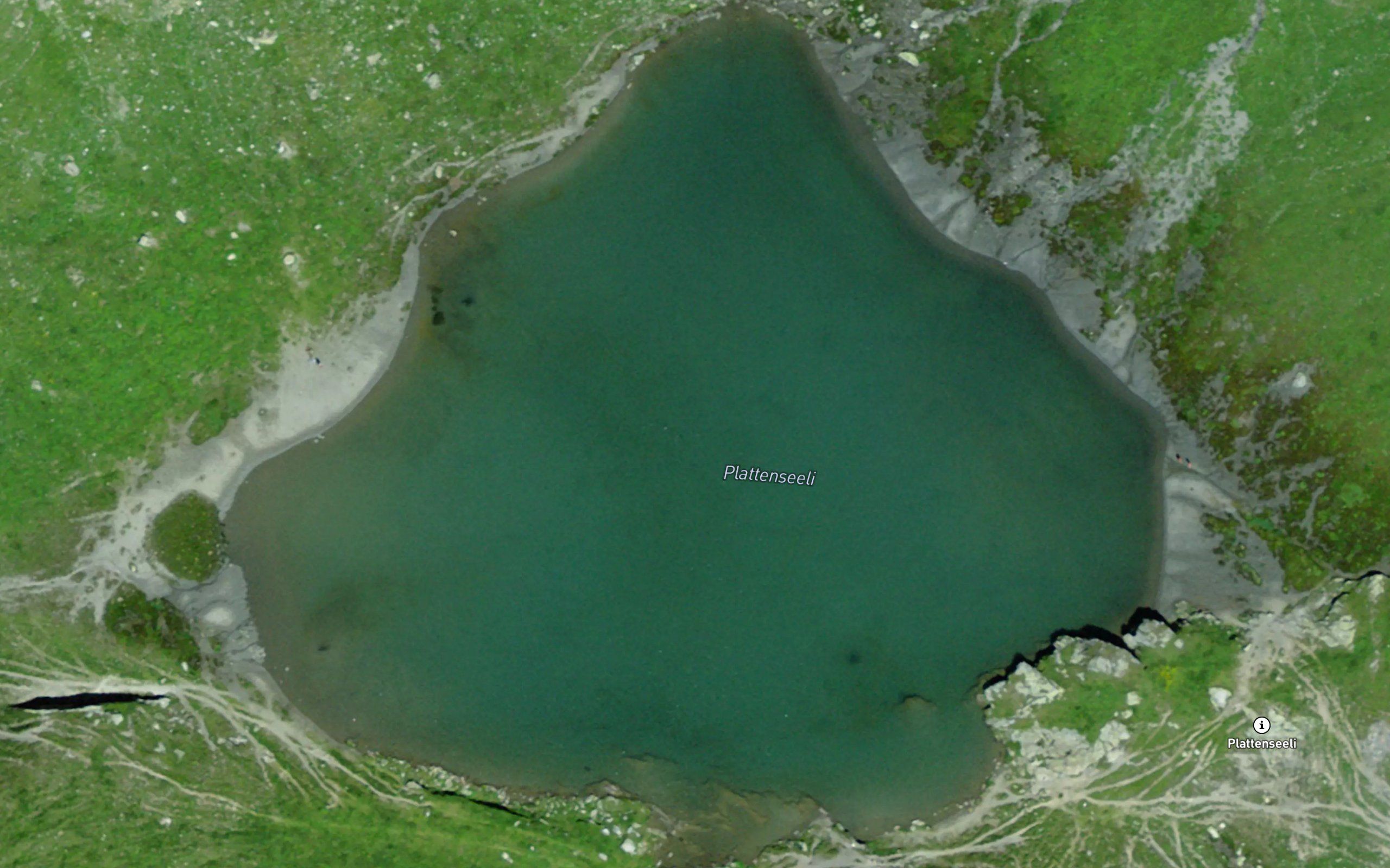 Plattensee