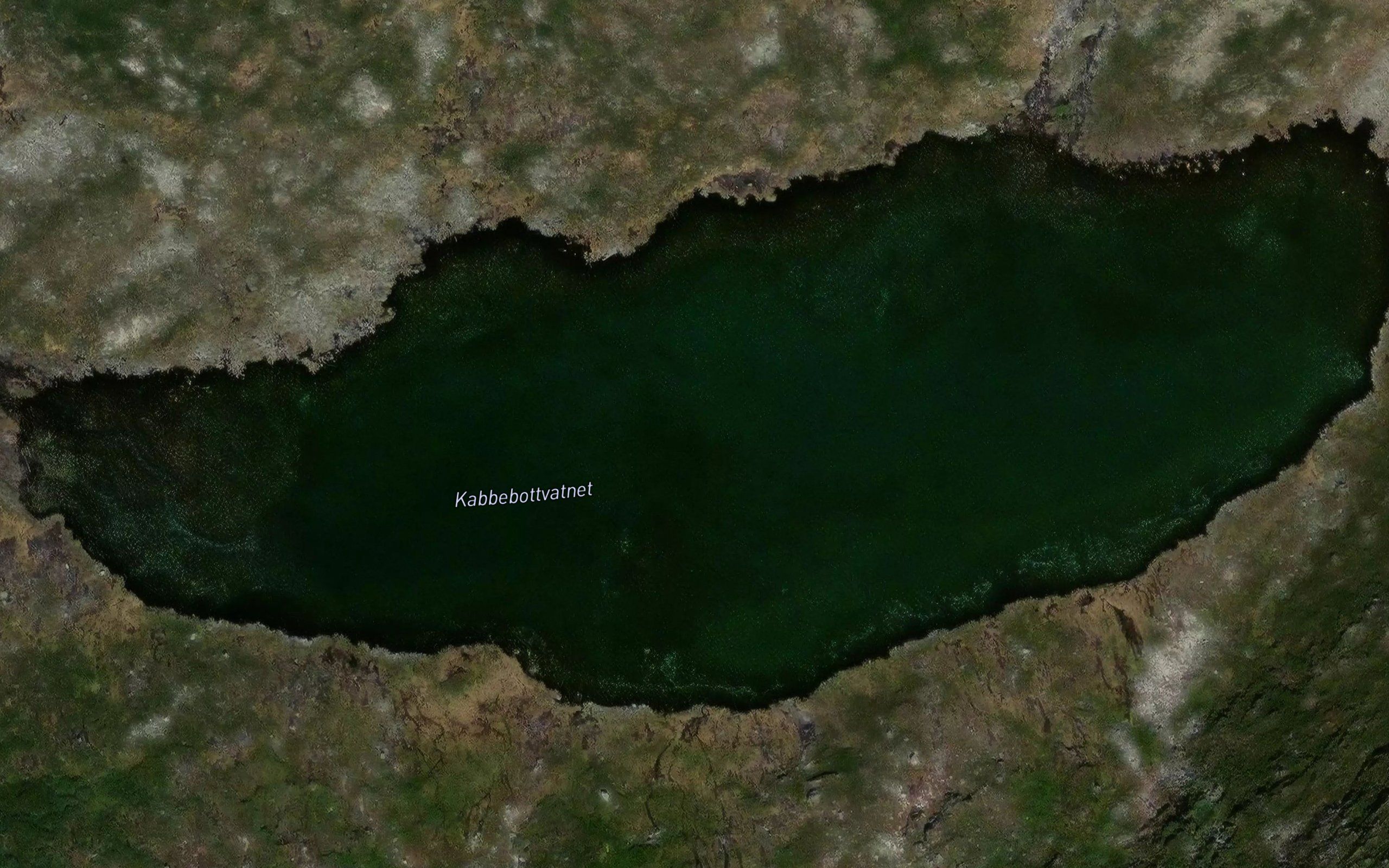 Kabbebottvatnet