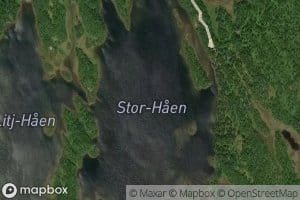 Stor-haen