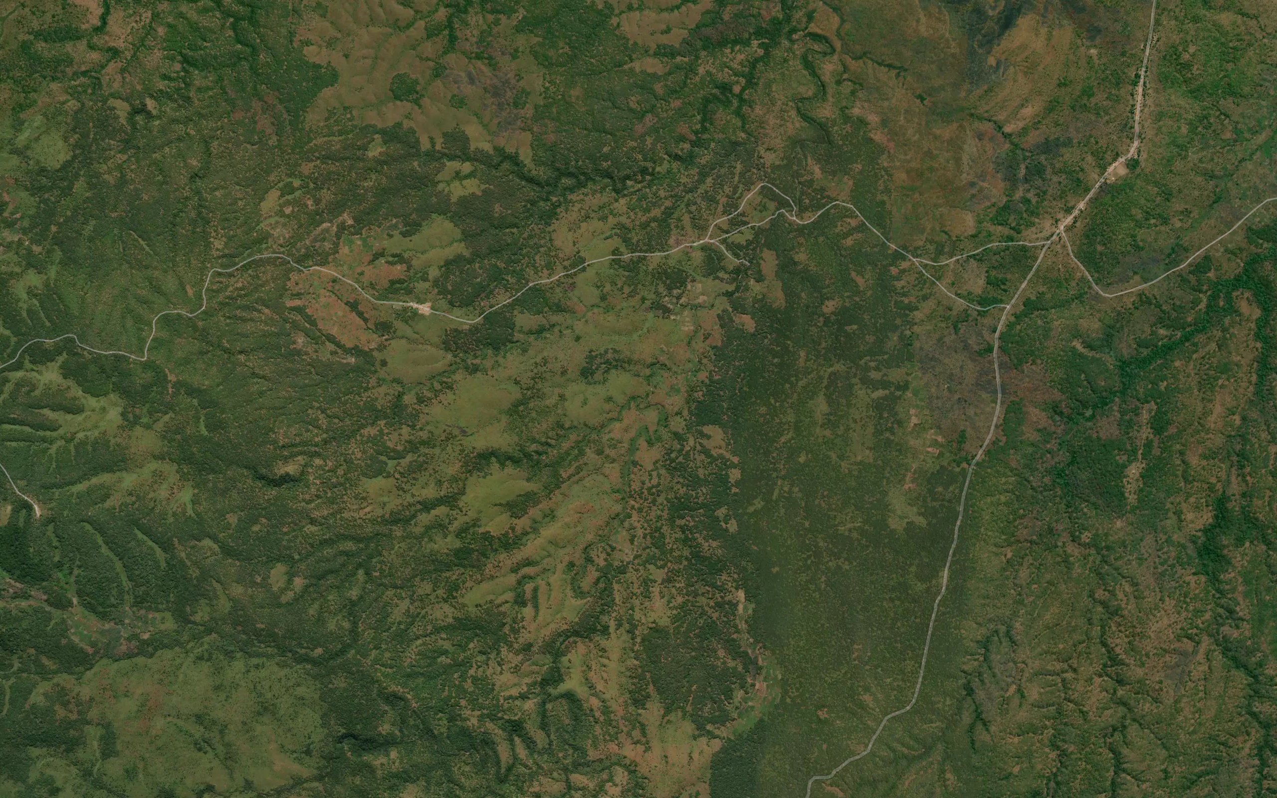Munua