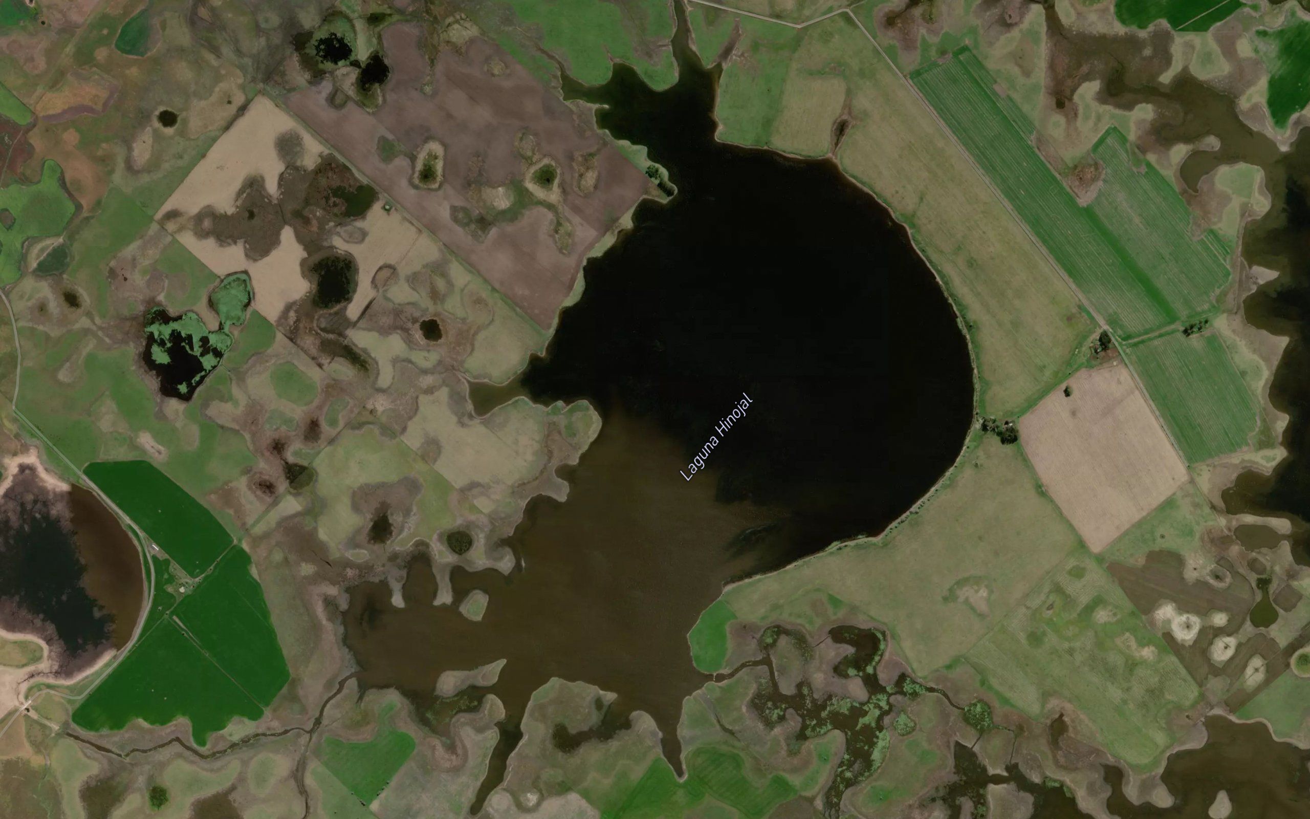 Laguna Hinojal