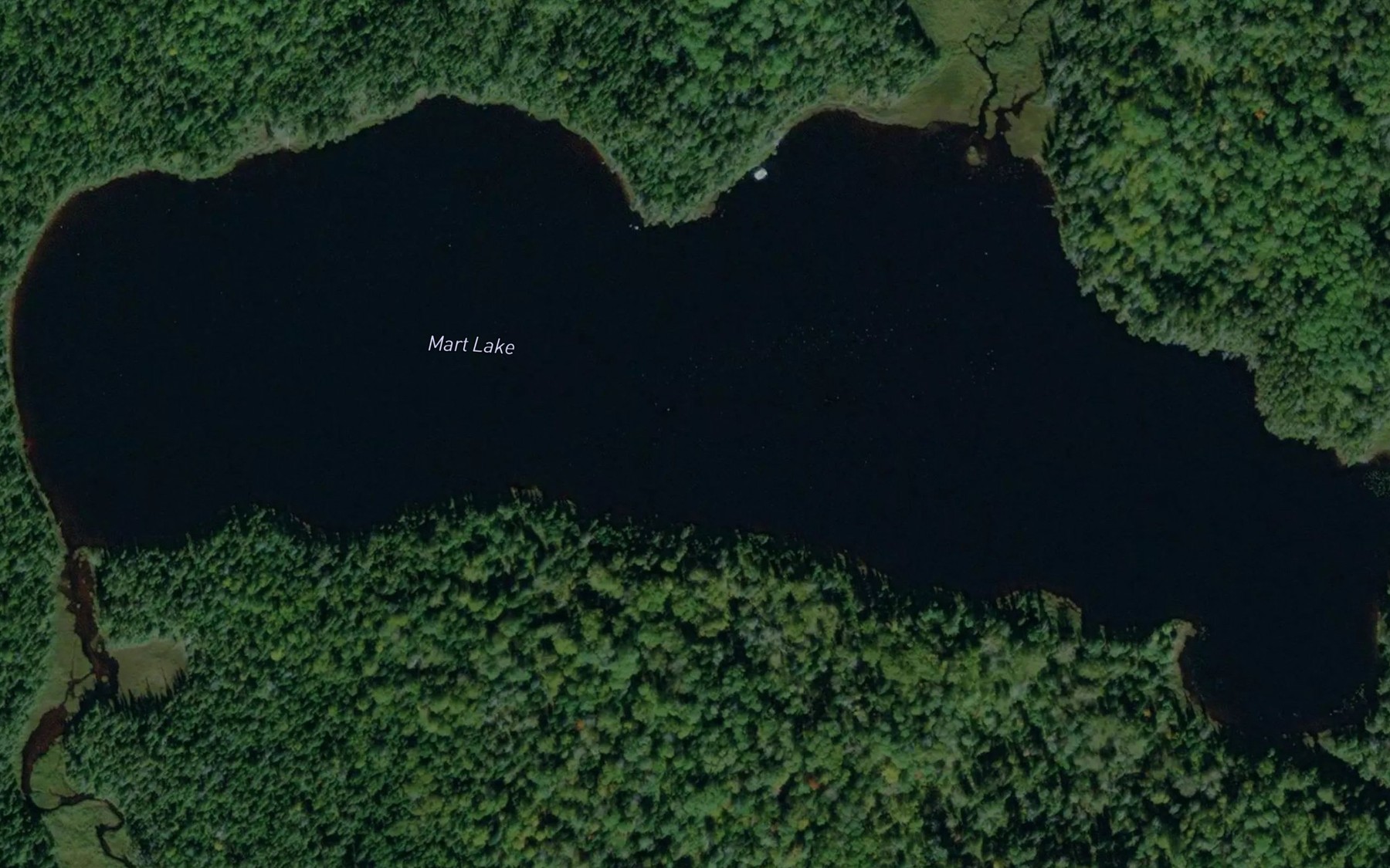 Satellite map of the Mart Lake
