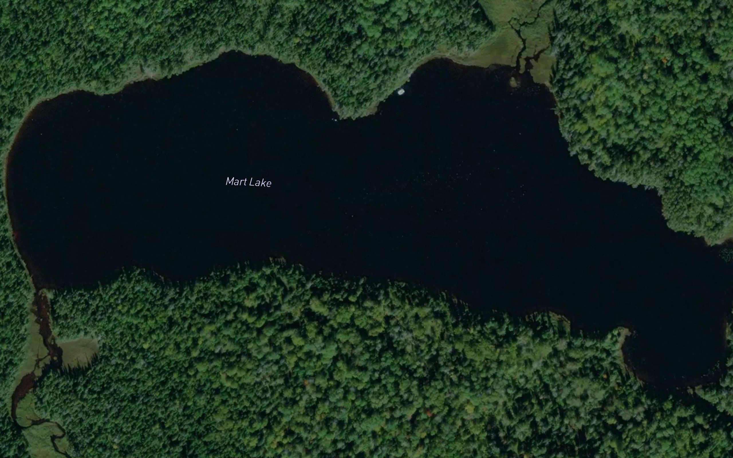 Mart Lake