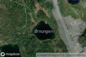 Ornungen
