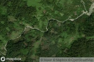 Arul Berawang Palung