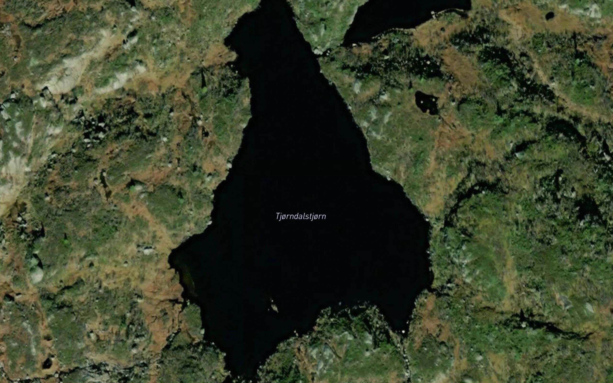 Tjorndalstjorn